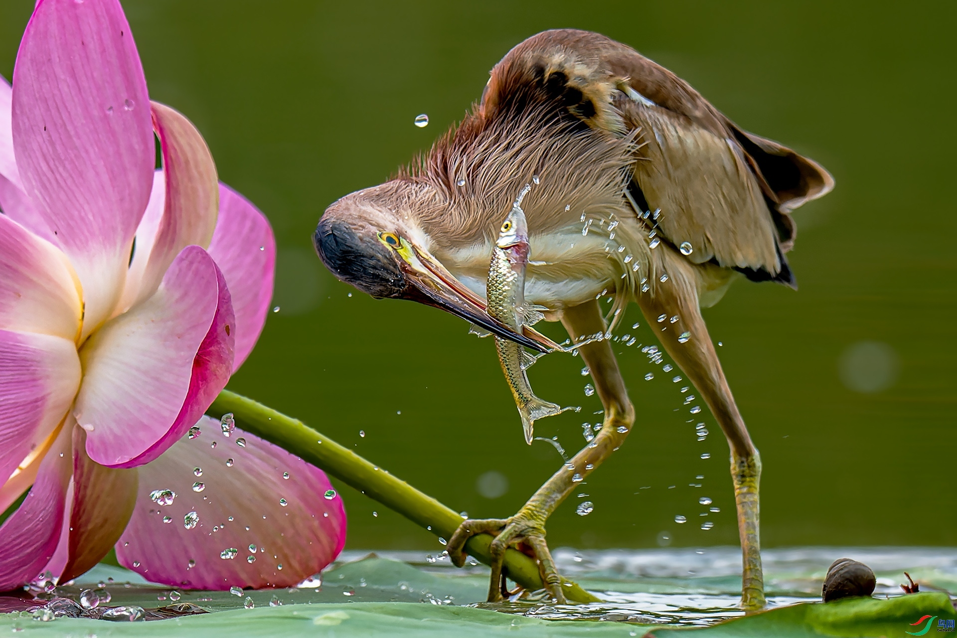 ��Χ   ���ϴ�  ����.jpg