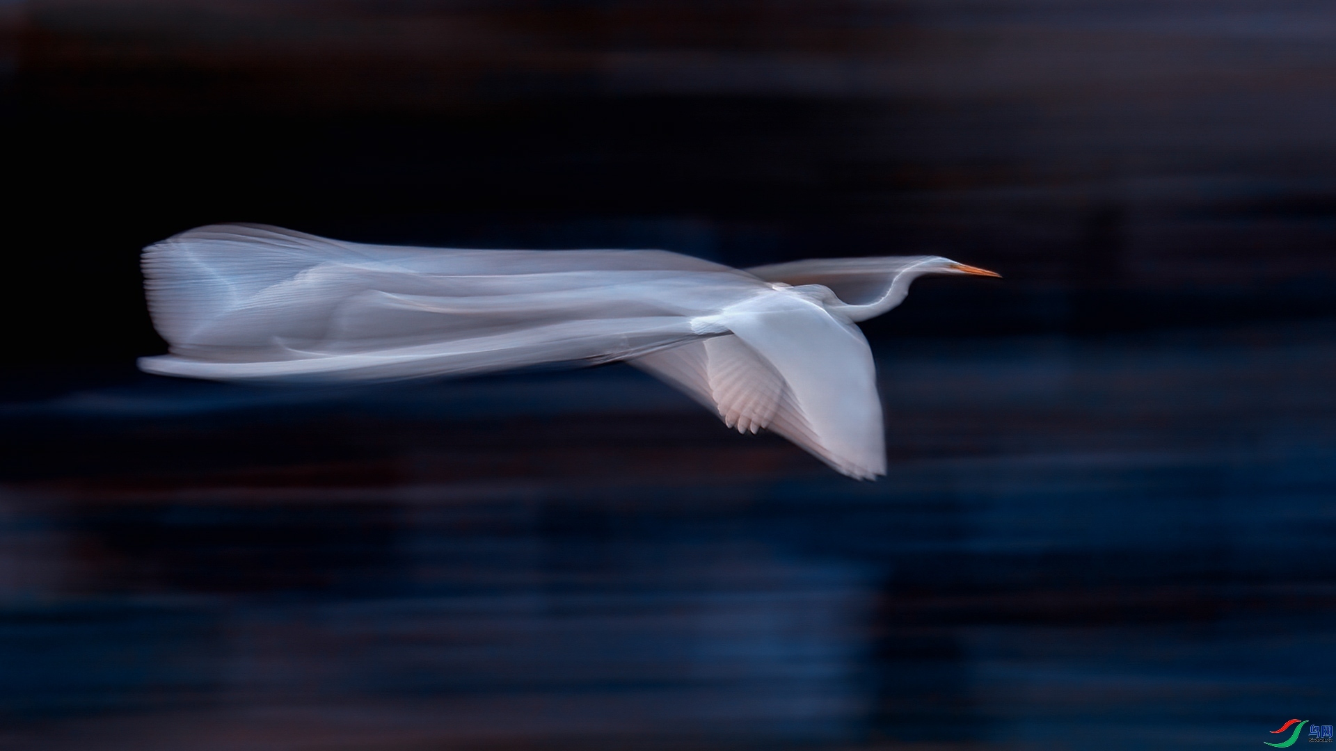 ��Χ   ��־����  Ʈ��.jpg