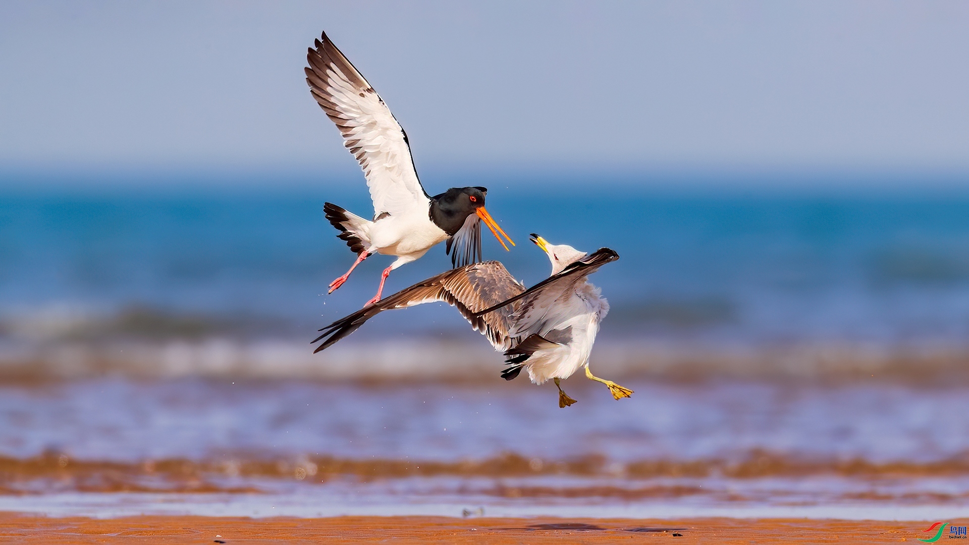 ��Χ   ˲������  ���߾�ս.jpg