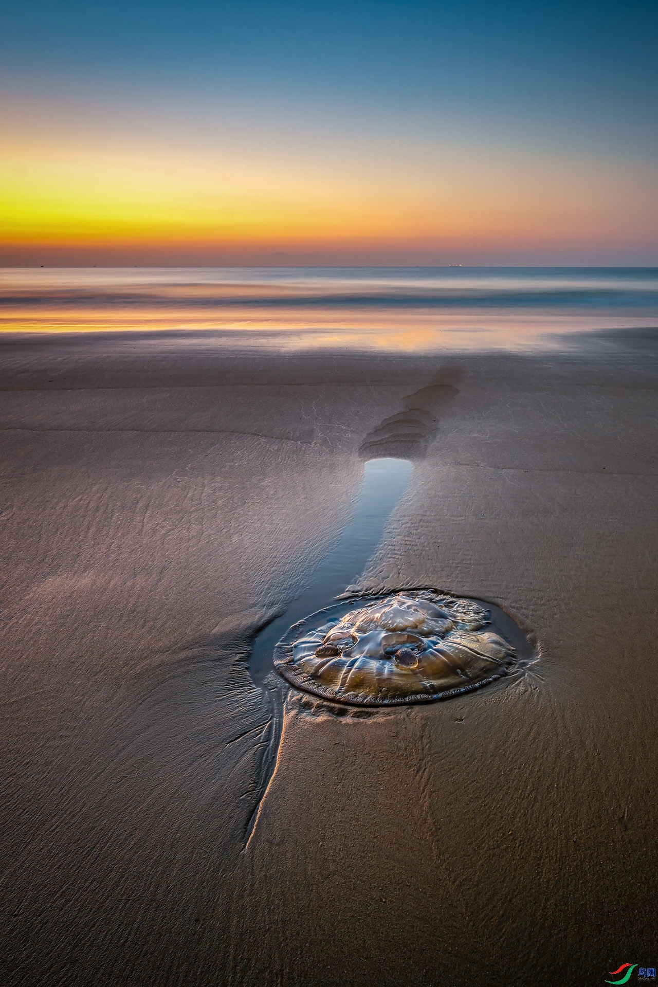 ��Χ  �����ѩ  ��ǳ�ĺ���.jpg