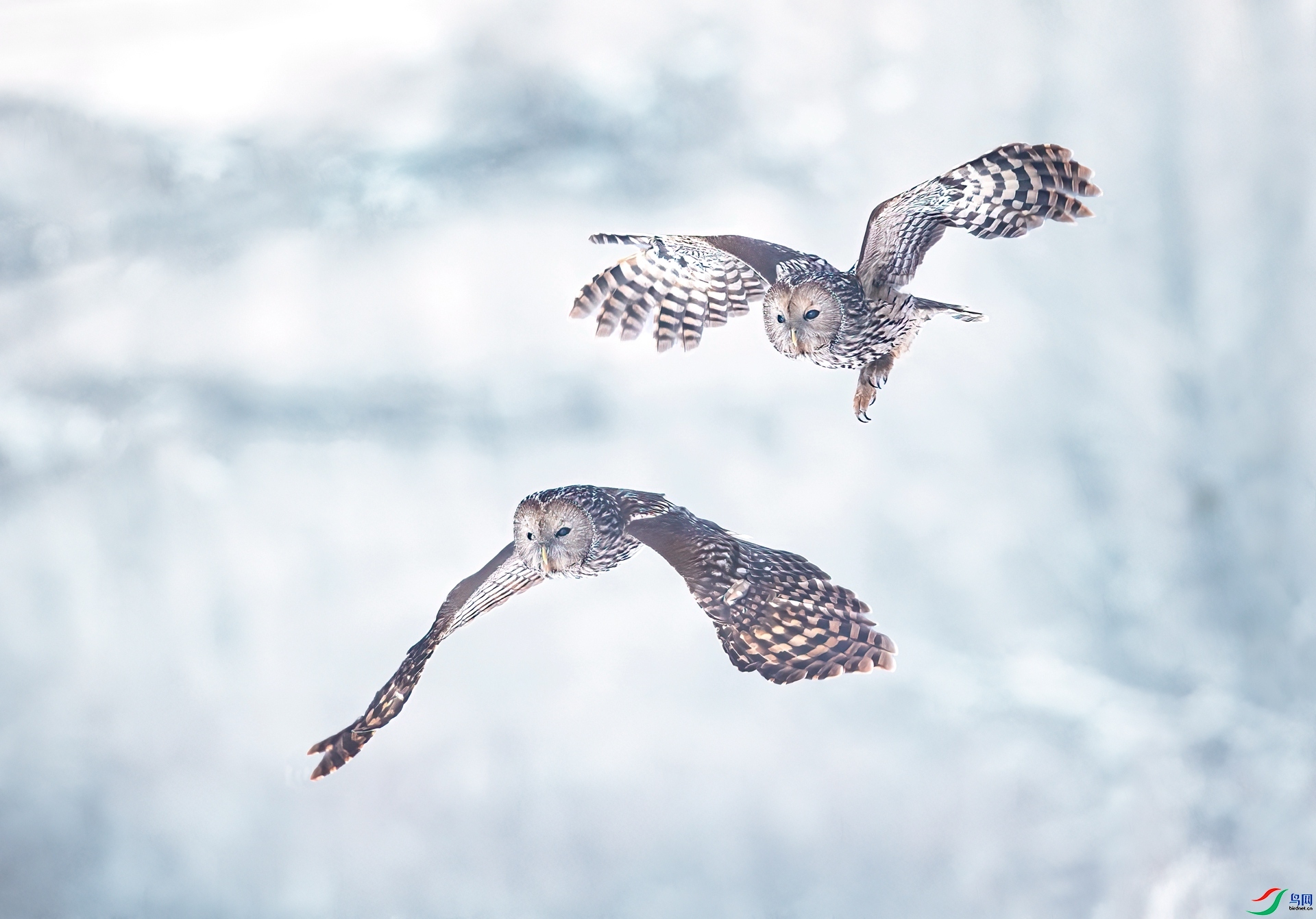 ��Χ  �ϱ��´�xa  ����˫��.jpg