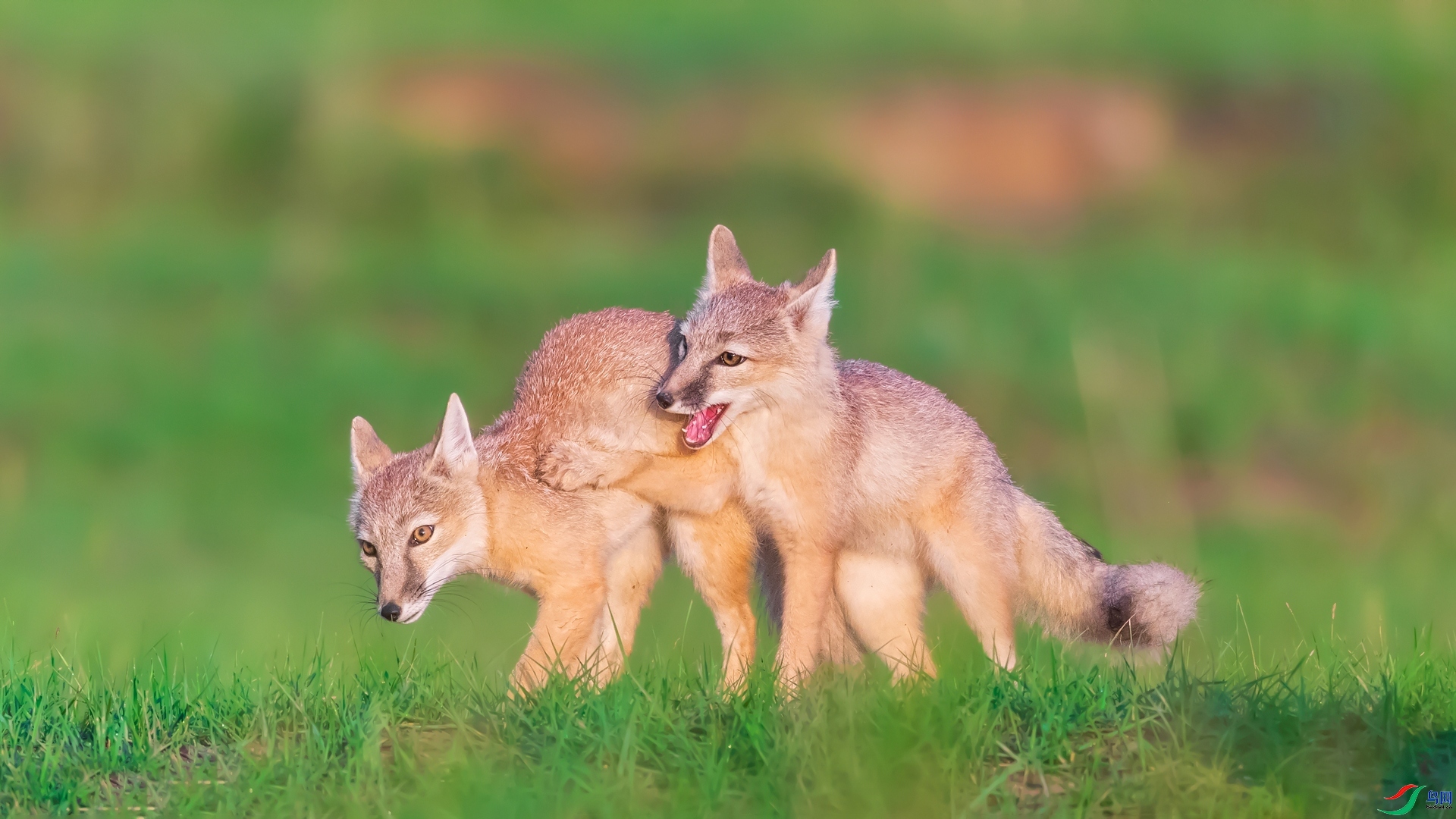 ��Χ  ˲������  �黳.jpg