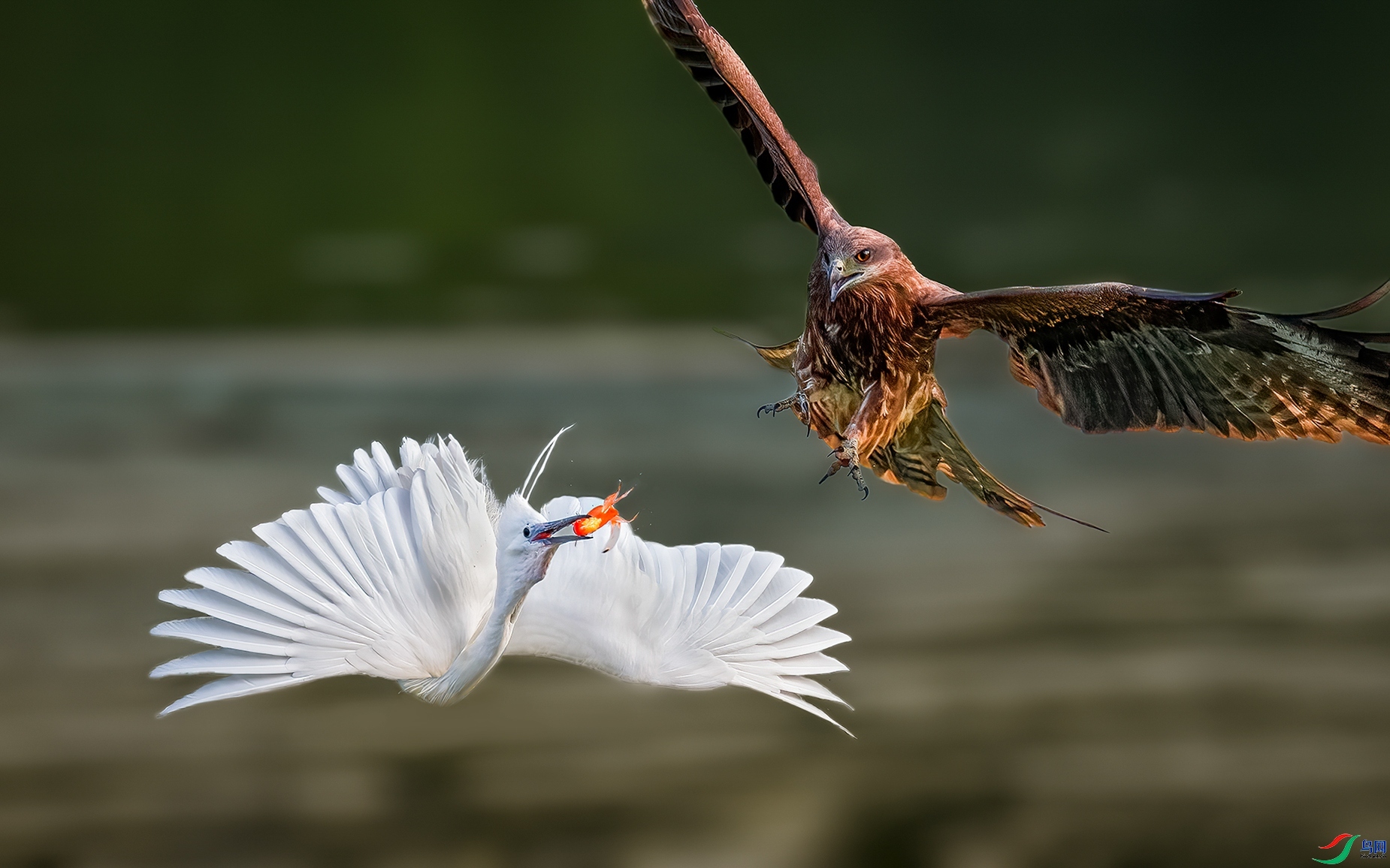 ��Χ  ����Ӱ  ͻ������.jpg