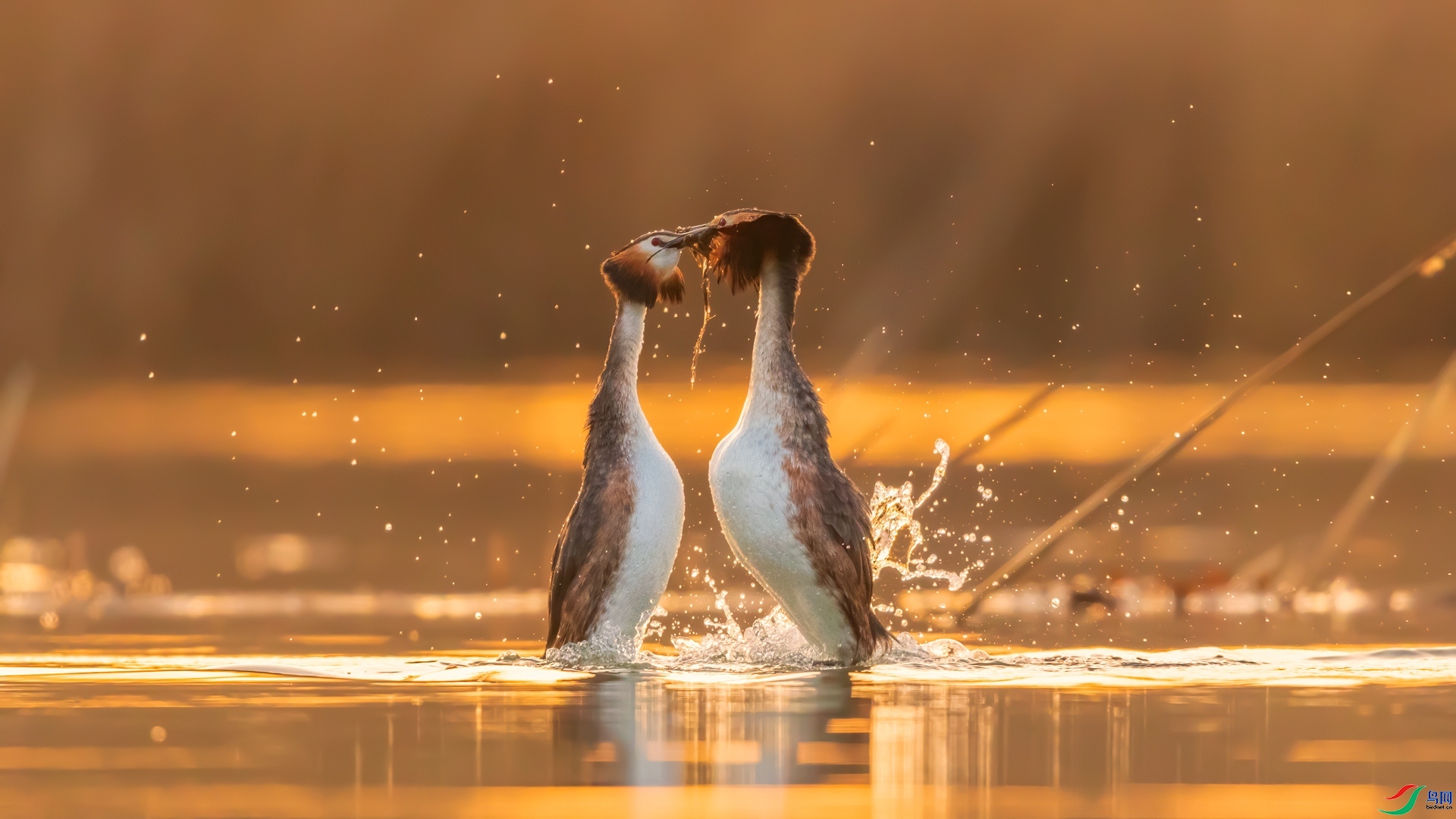 ��Χ  ��ɽ��ޱ  ����֮��.jpg