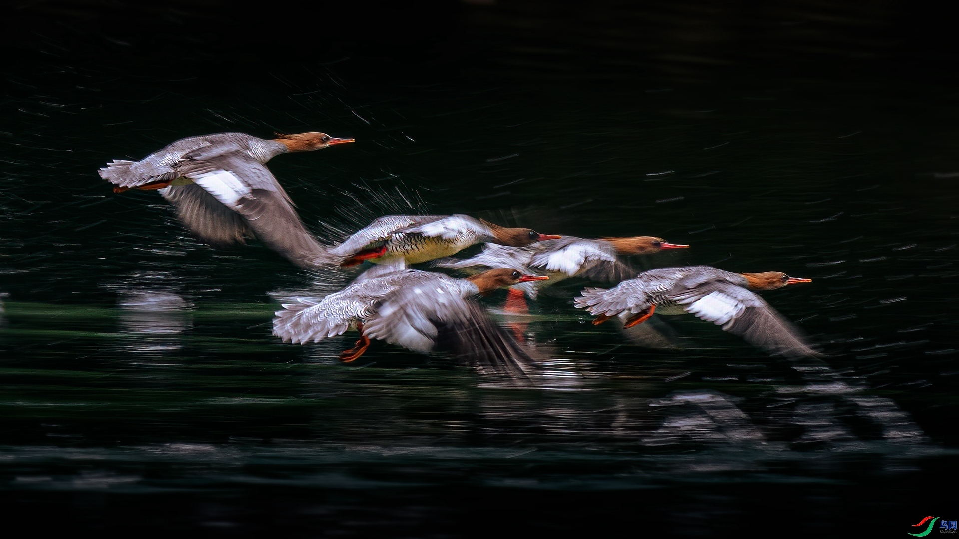 ��Χ  �����  ���ڵ�ͯ�Ӿ�.jpg