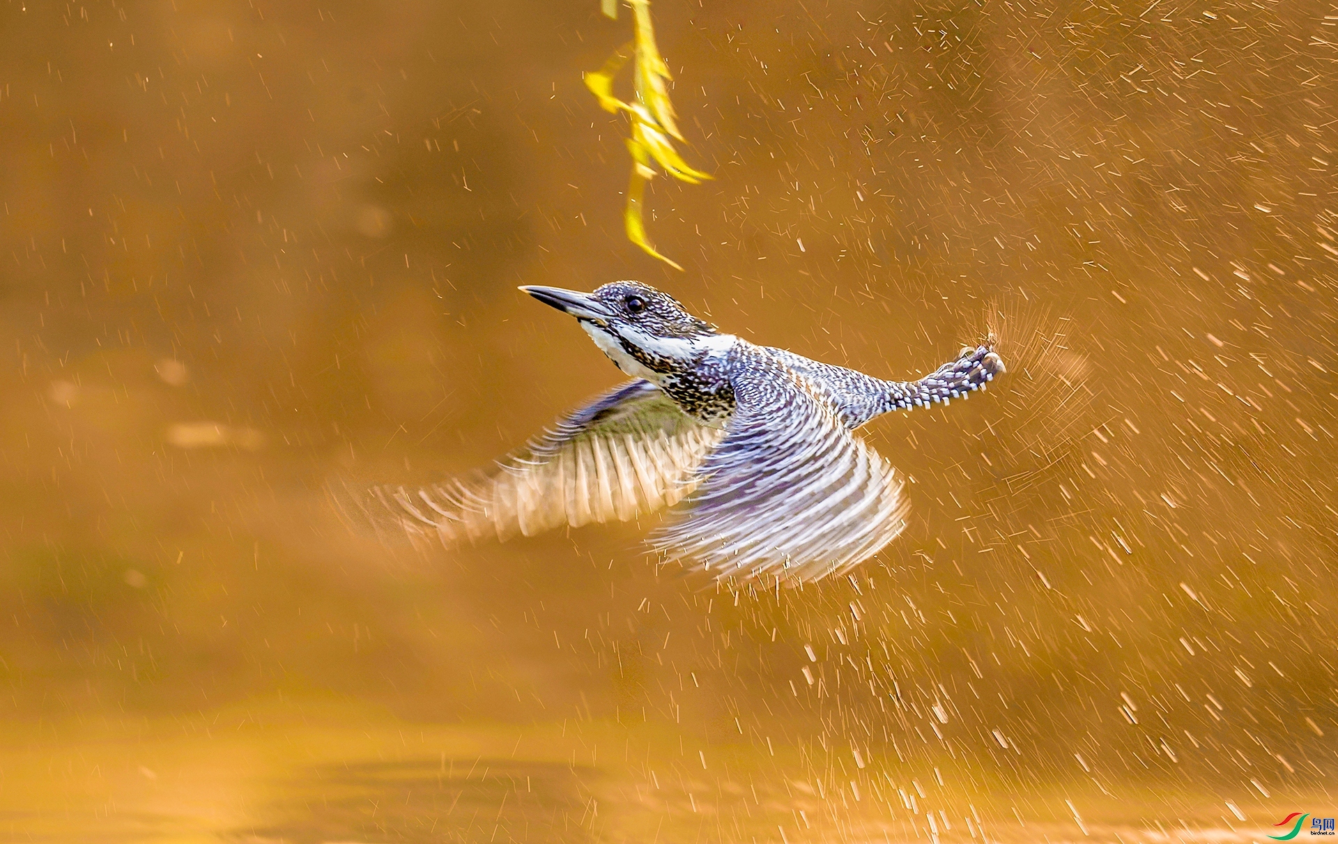 ��Χ ��������  ���������������.jpg