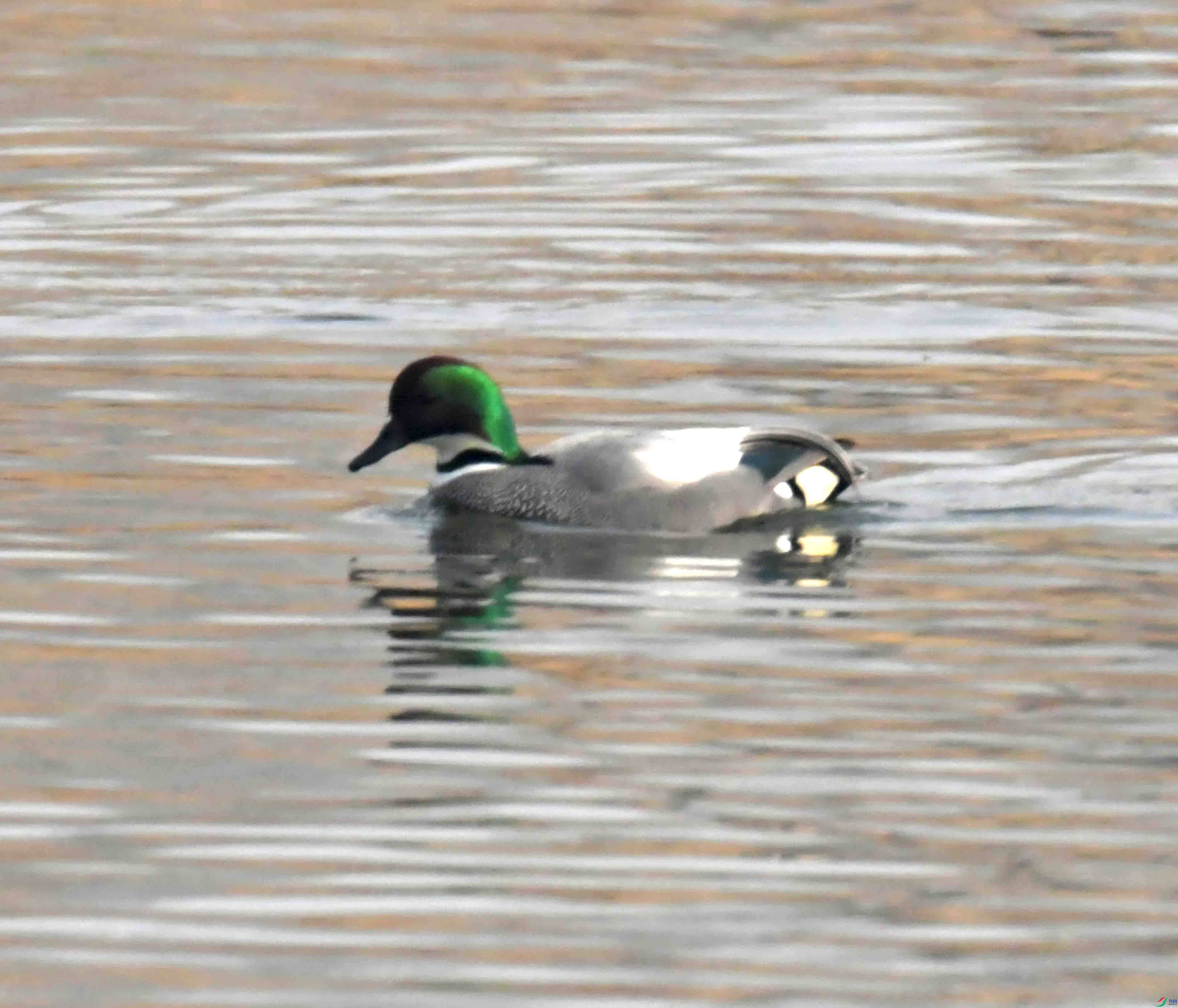 DSC_2071.JPG