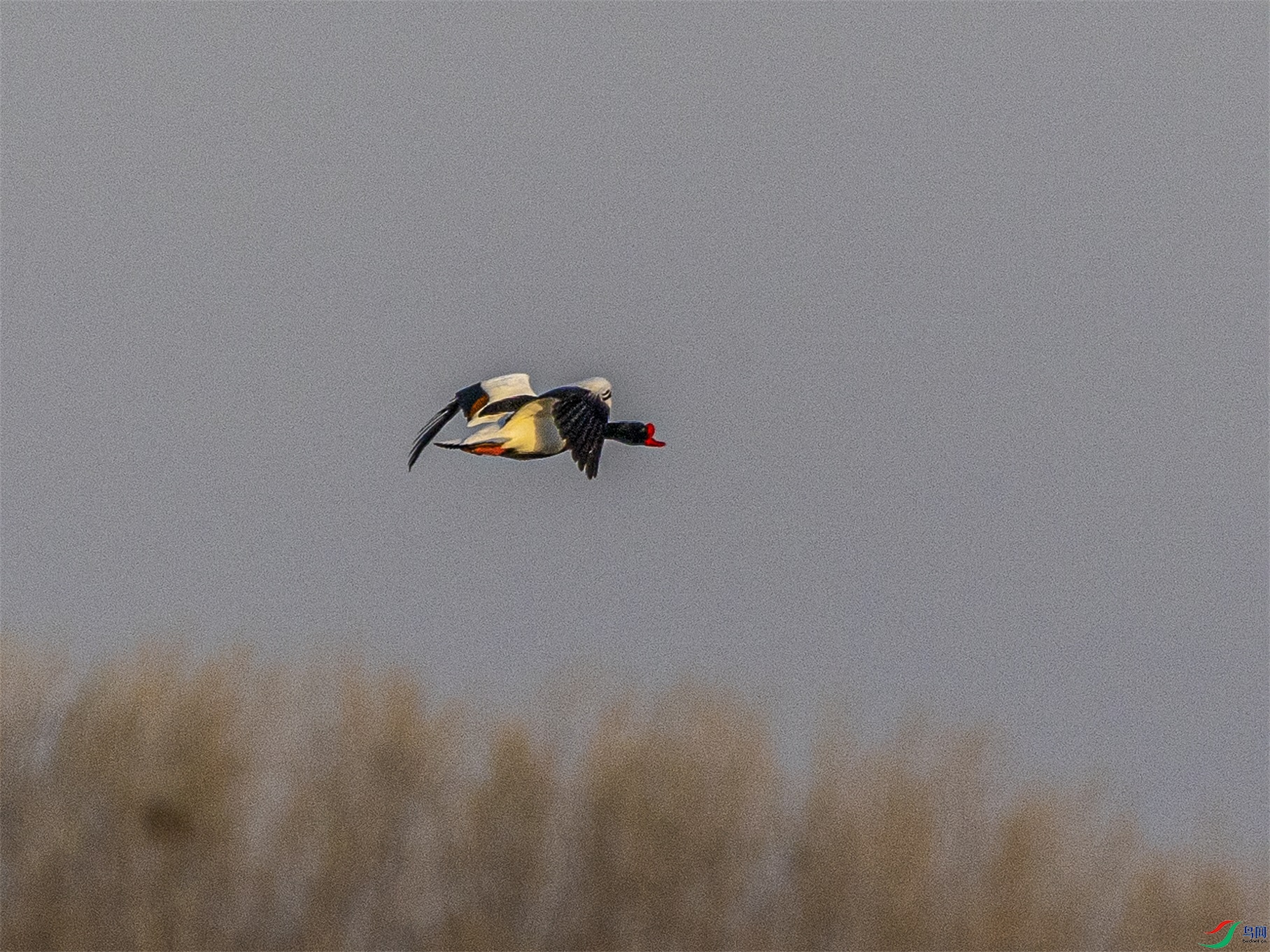 1K3A6659 ����1.jpg