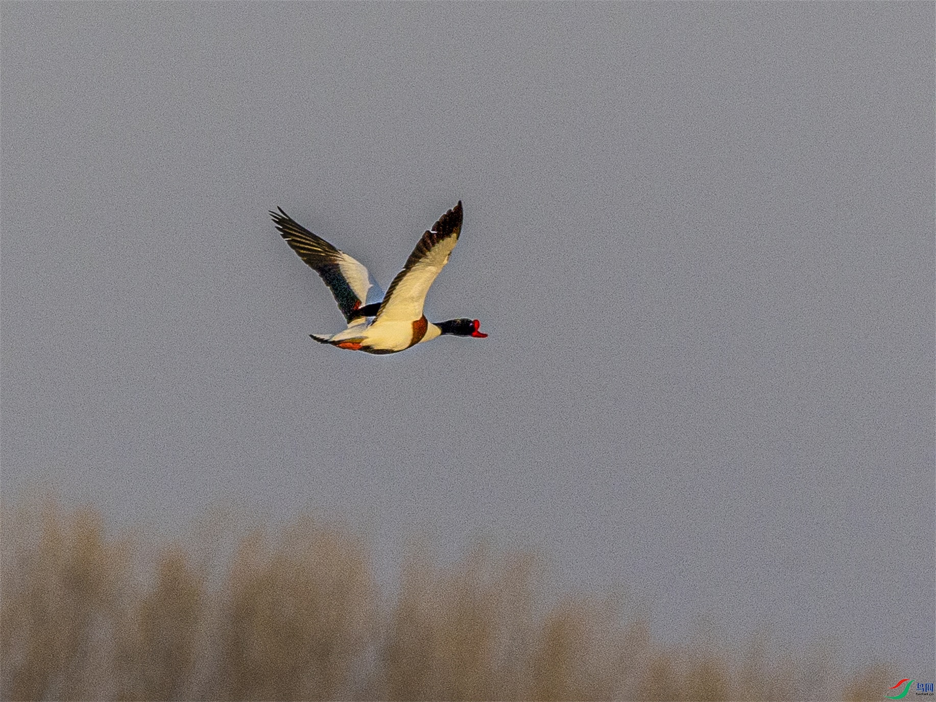 1K3A6660 ����1.jpg