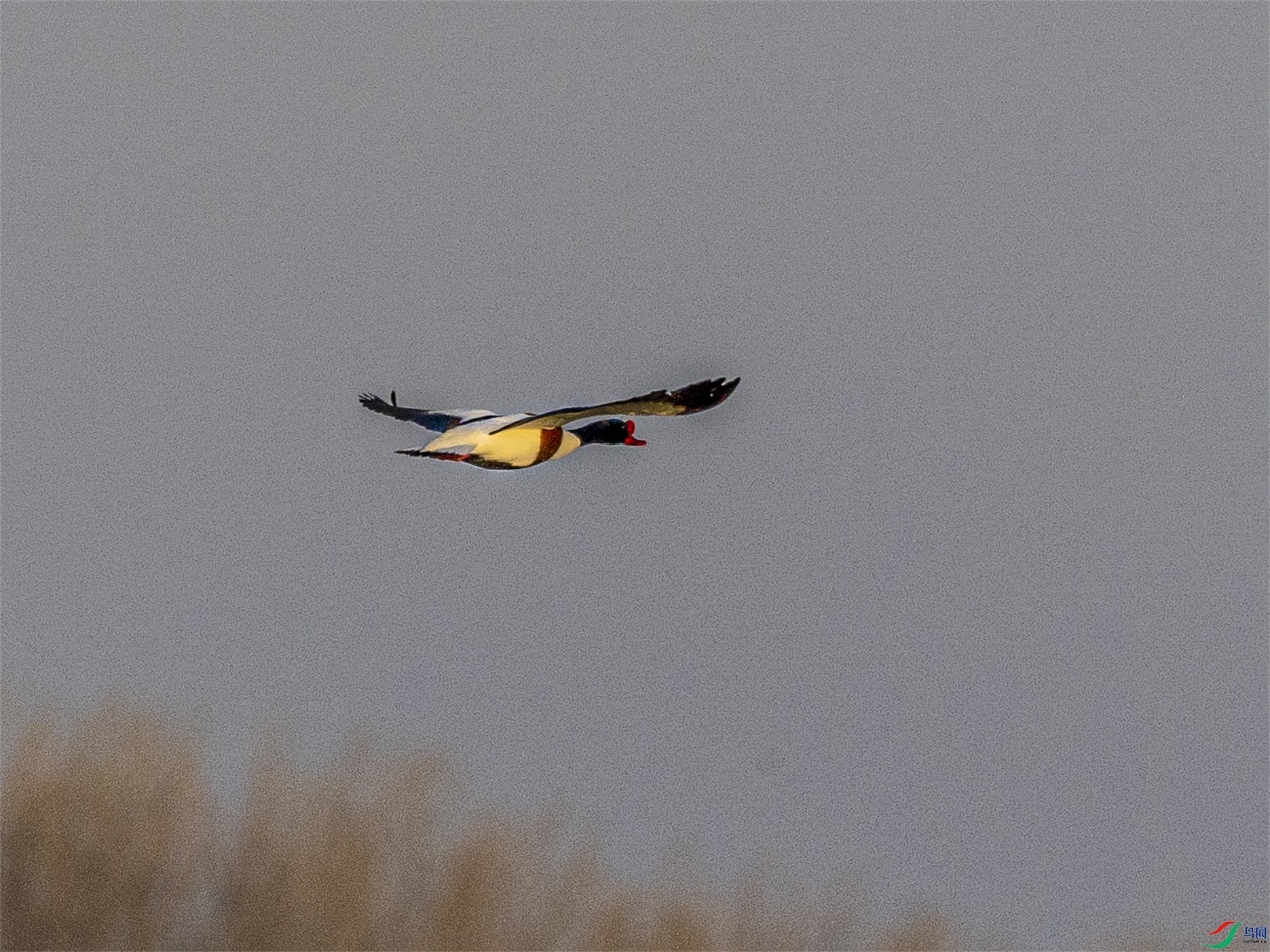 1K3A6661 ����1.jpg