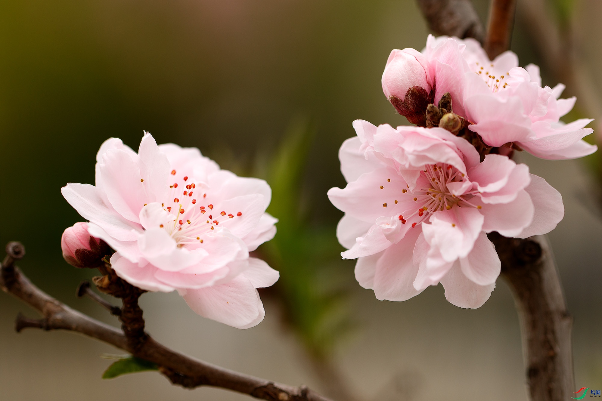 1N5A7505 ����.jpg