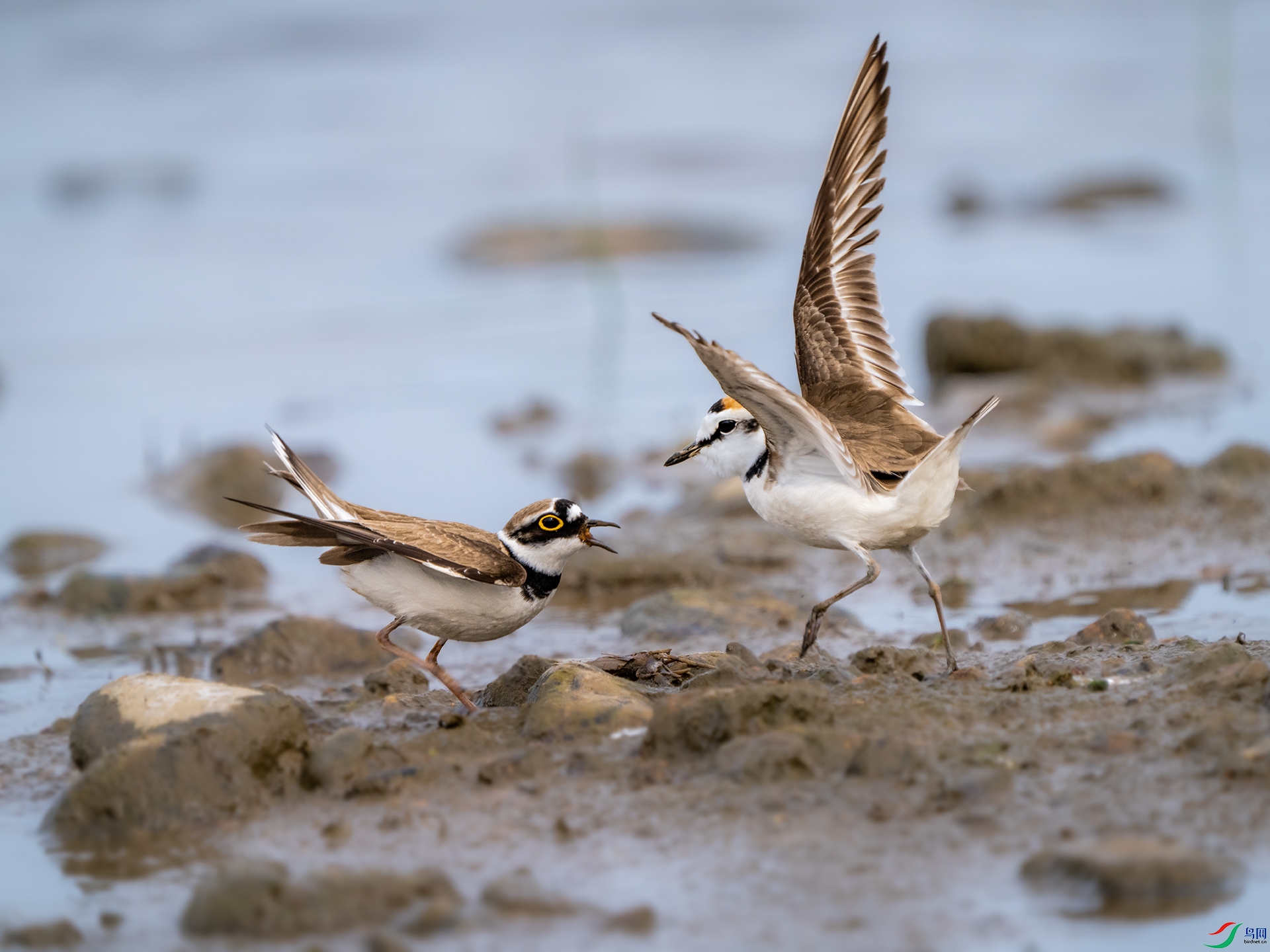 _DSC0825 ����.jpg