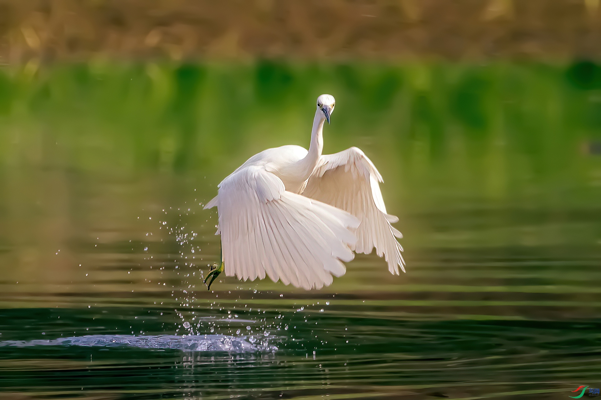 _MG_9290-CR2.jpg
