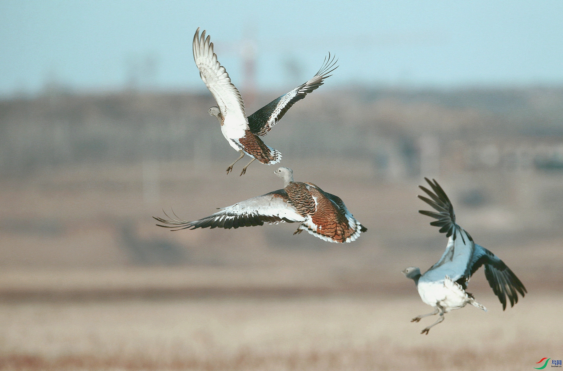 ���� D 03 ==.jpg