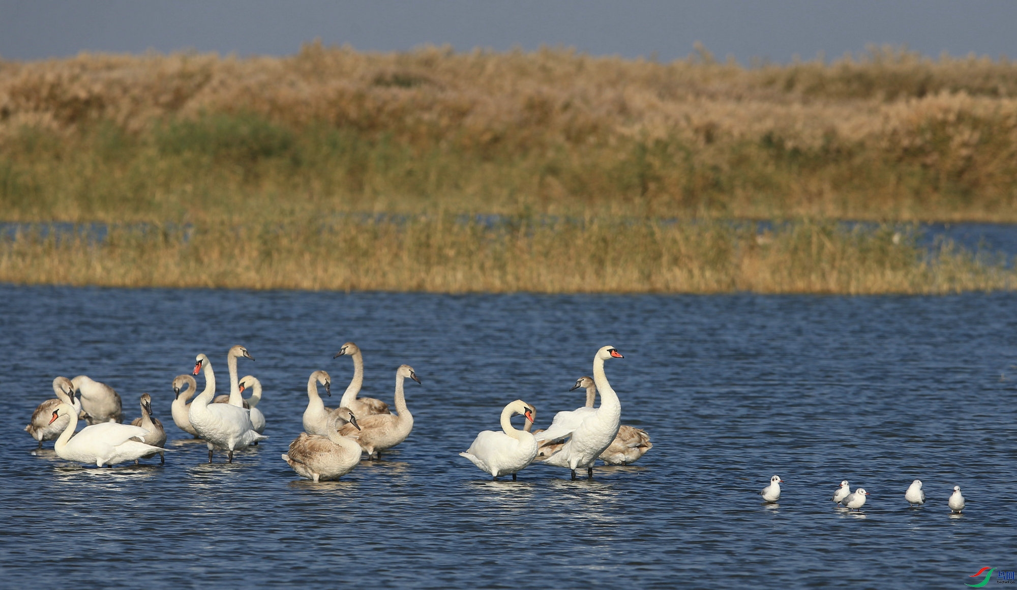 ���� 02 - 5061 .jpg