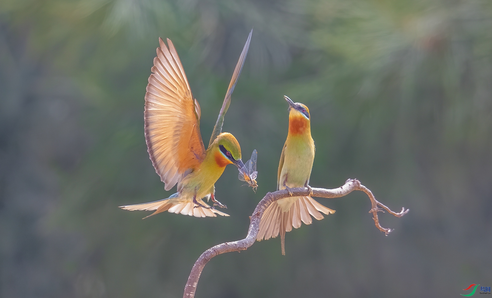 AC0I3960 ����.jpg