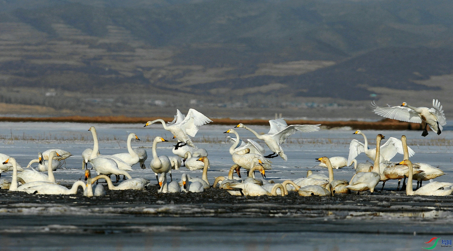 13_��Ʊ���� ���� ==.jpg