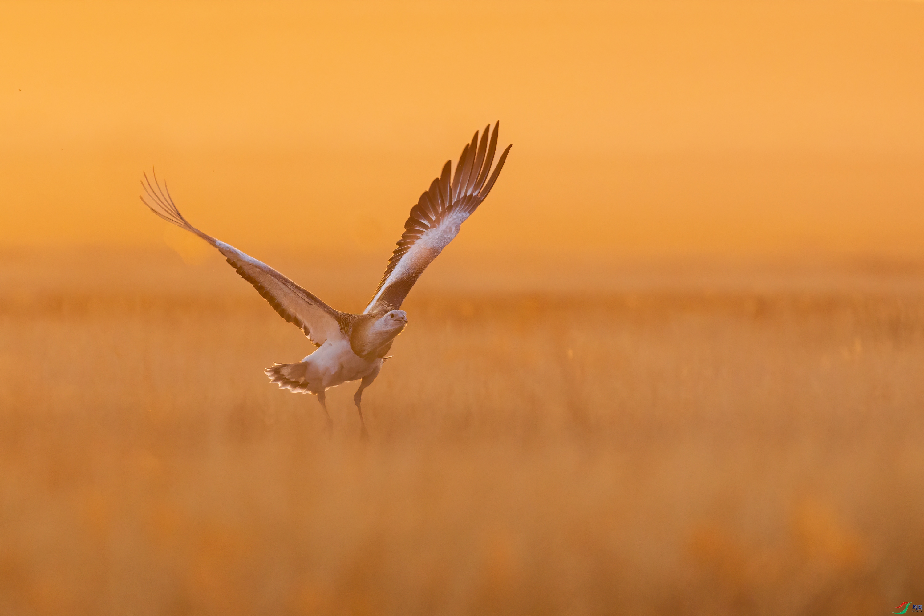 0D7A6382-3.jpg