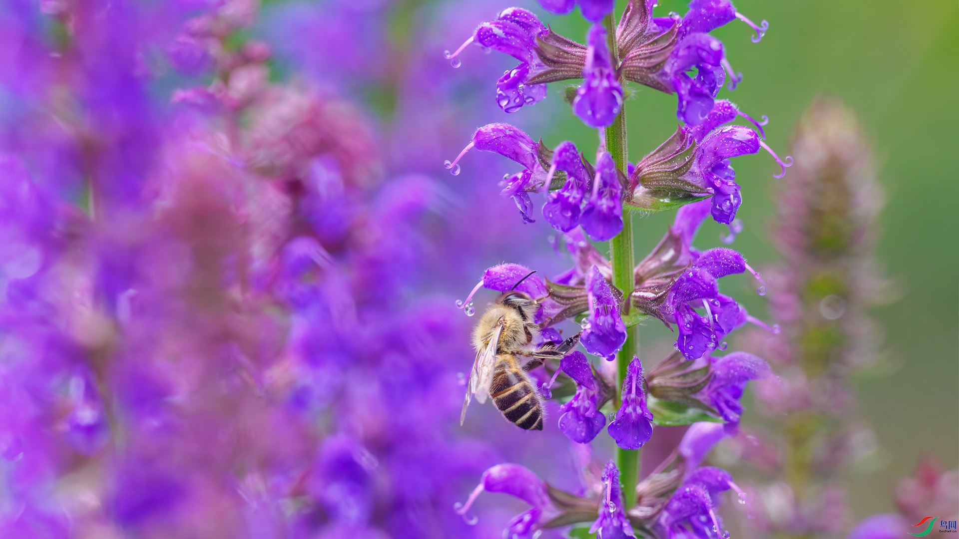 P4291225-2.jpg