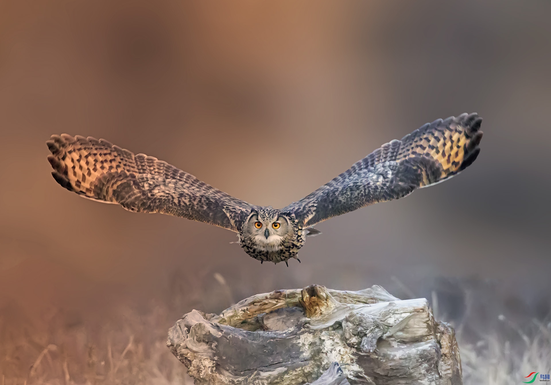 DM8W517023 ����.jpg