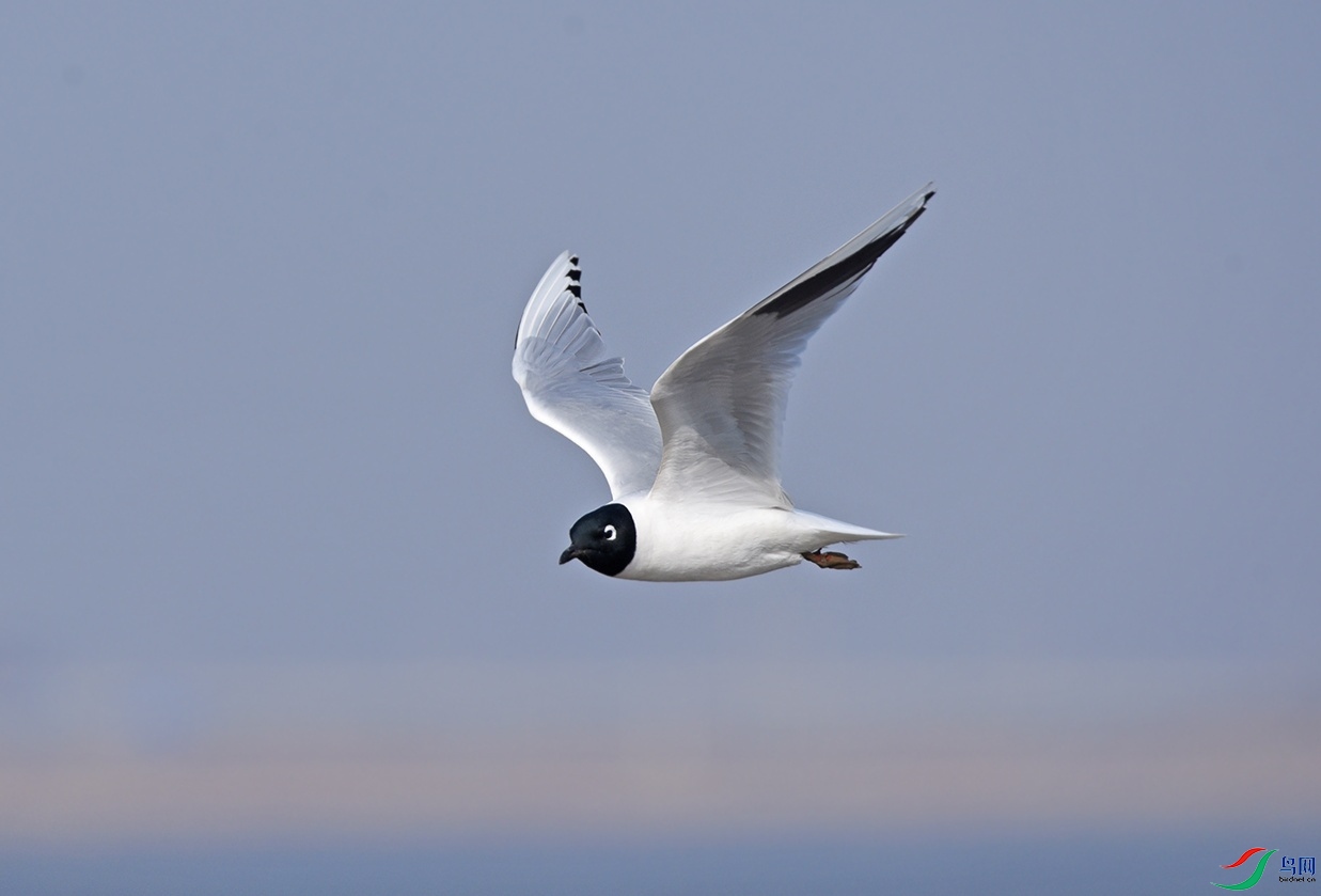 DSC_1352.jpg