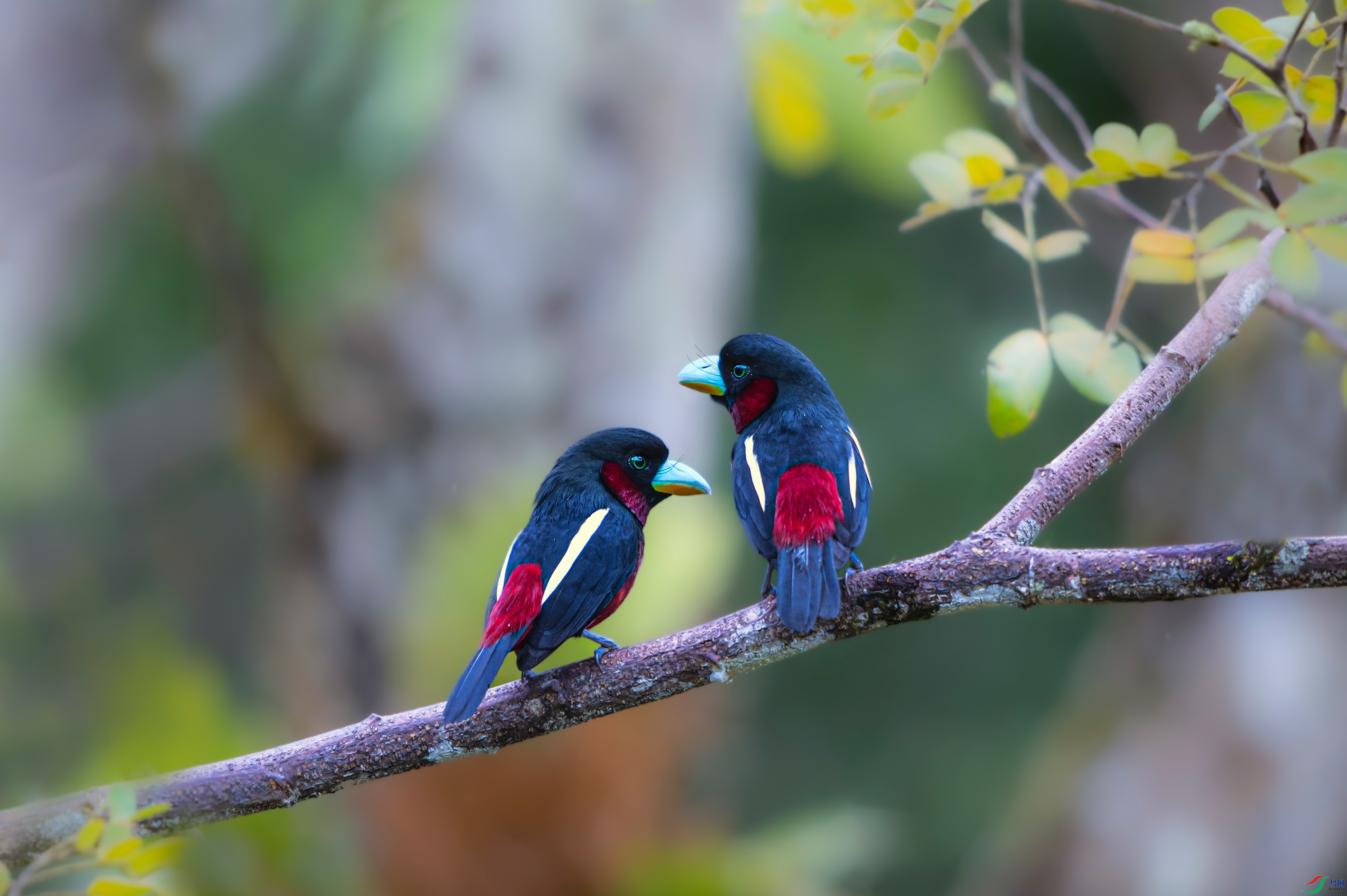 DSC_8081.jpg