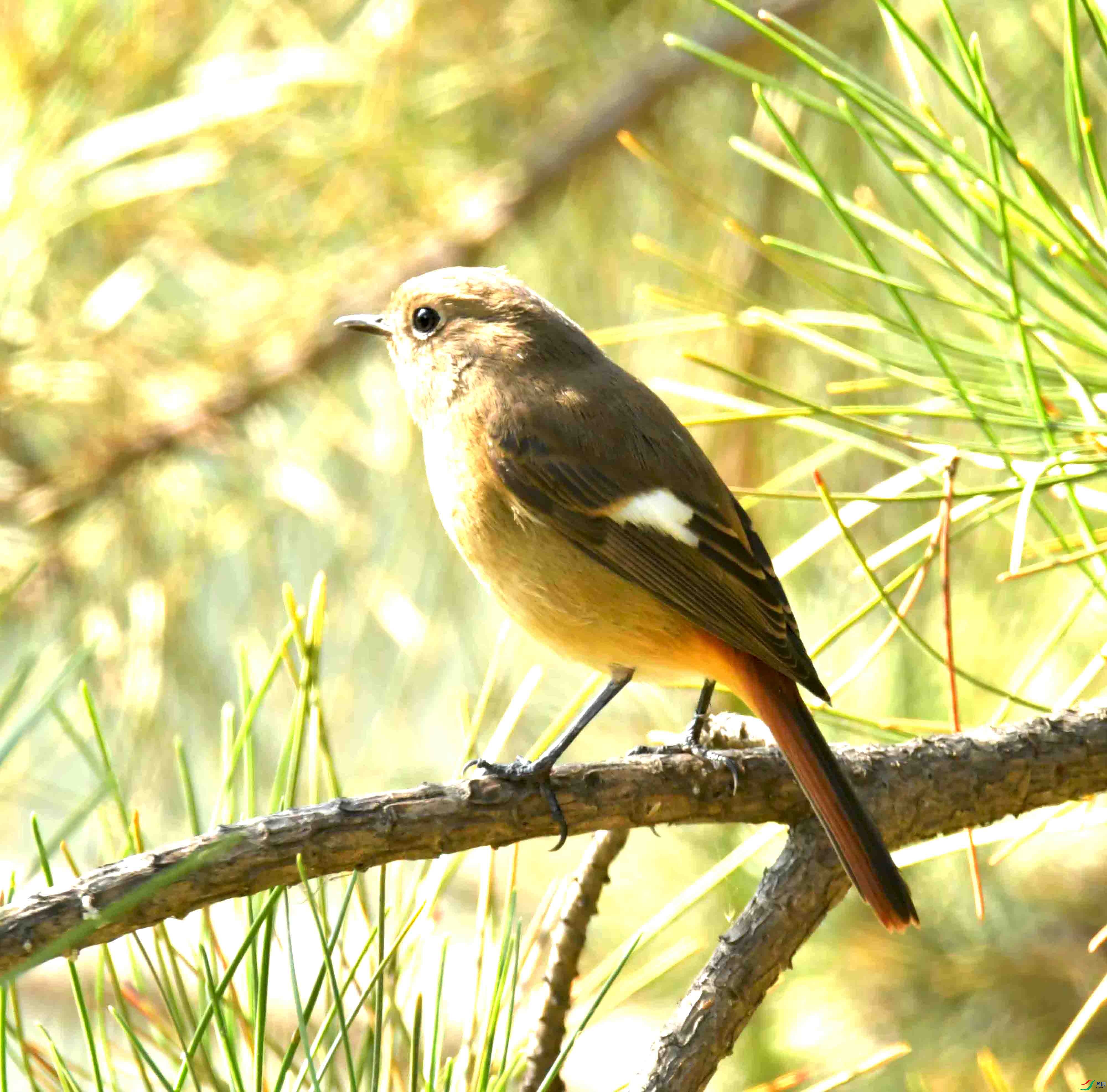 DSC_6573.JPG
