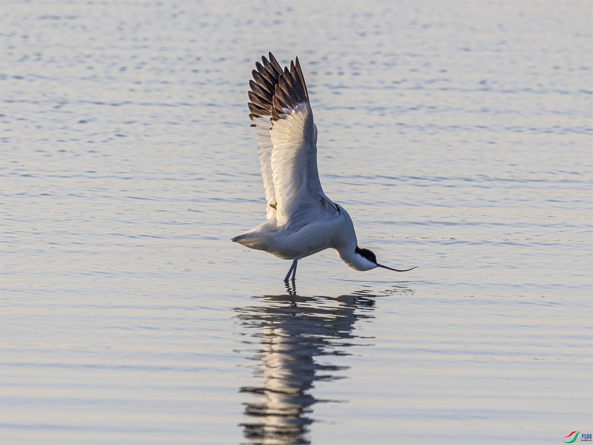 1K3A6781 ����1.jpg