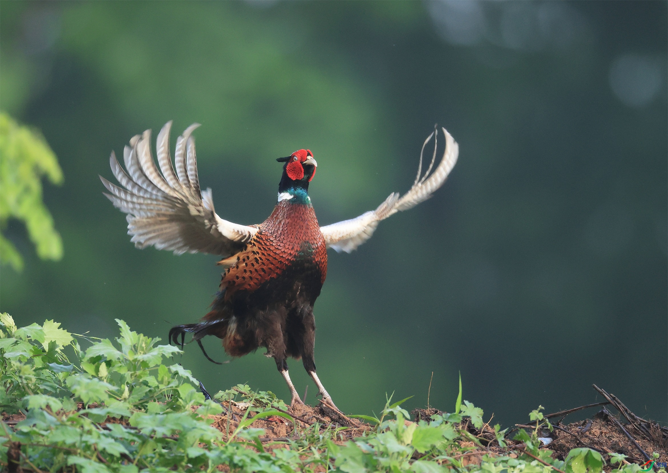 1 - ����.JPG