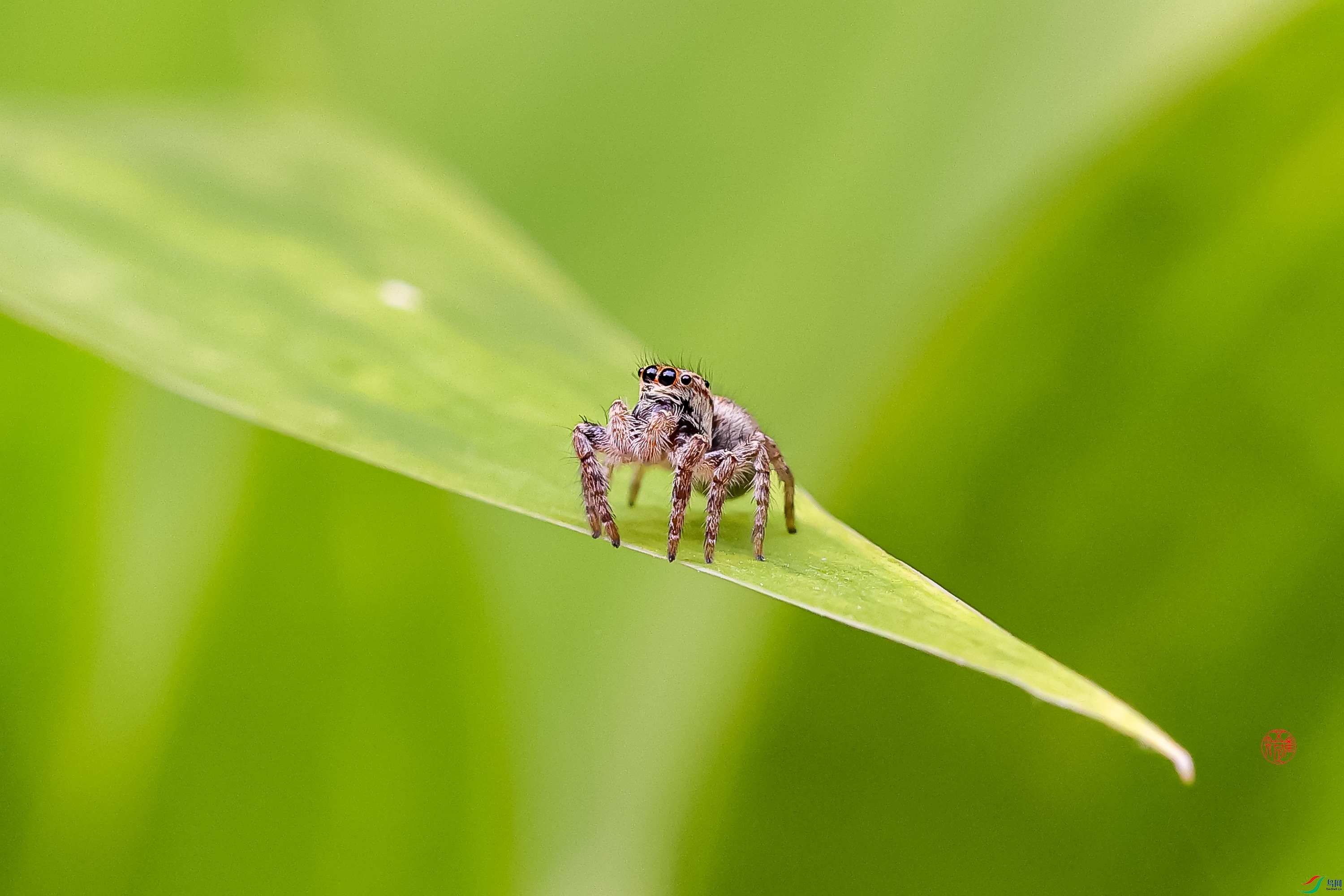 _23_1445 ����.jpg