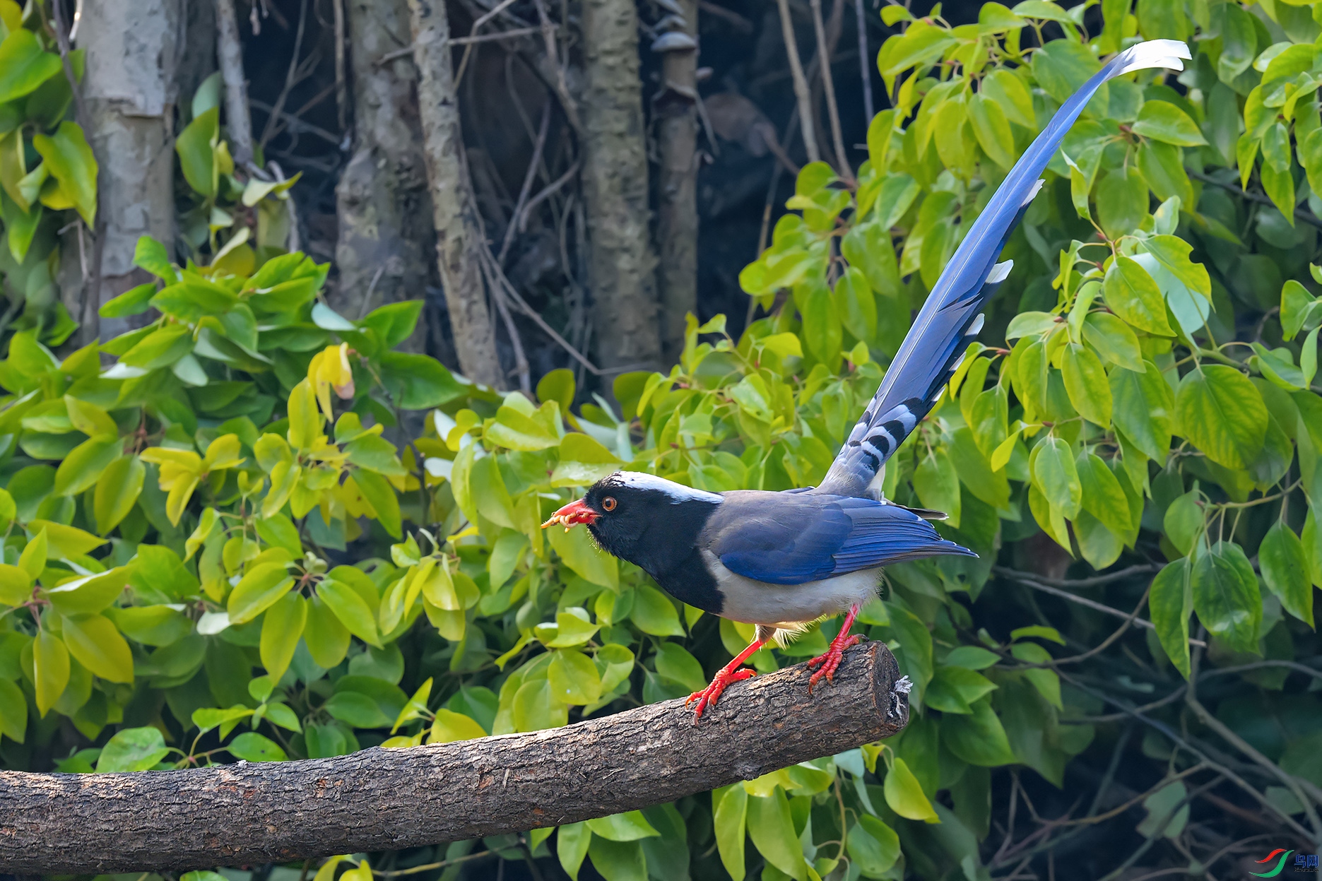 DSC_3200_DxOa.jpg