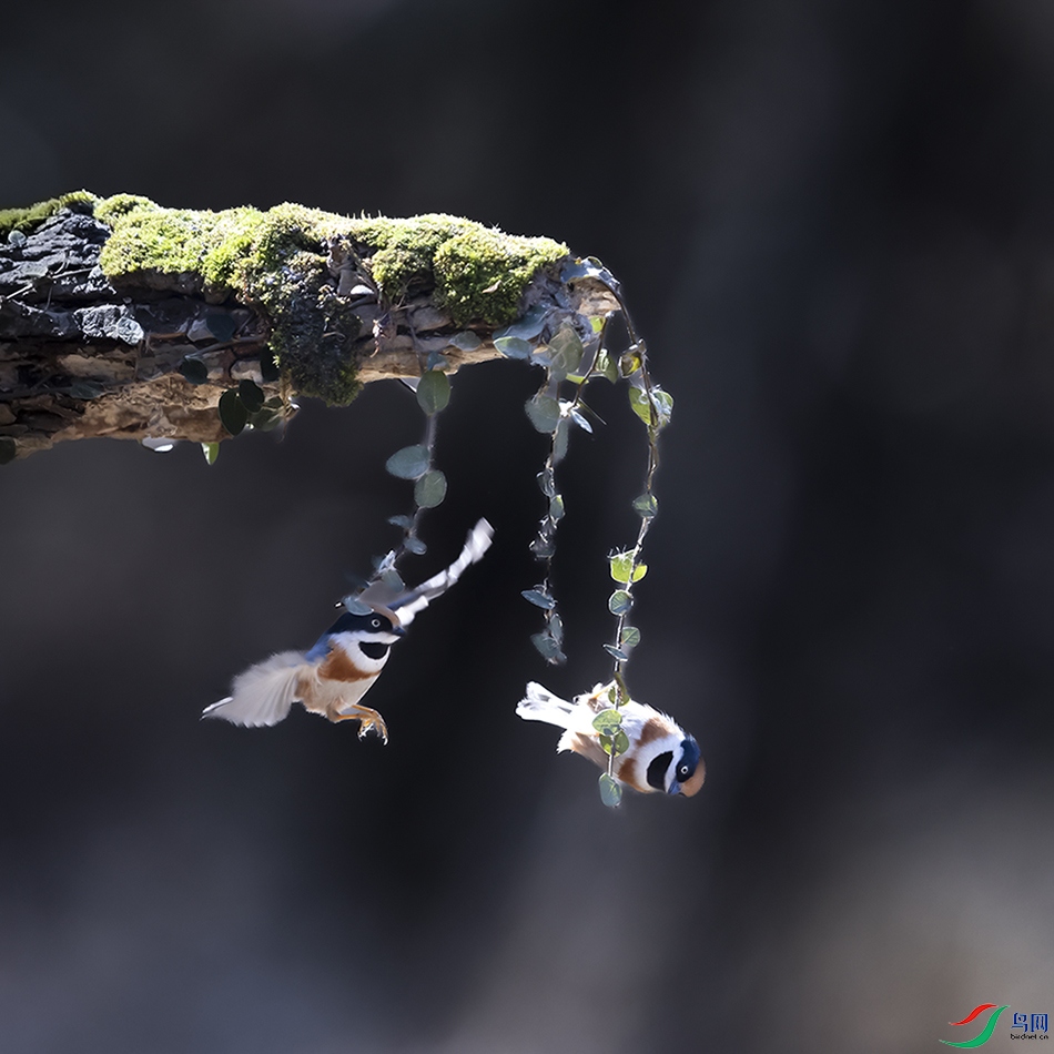 2F5A7222 ����.psd2 ����.jpg22.jpg