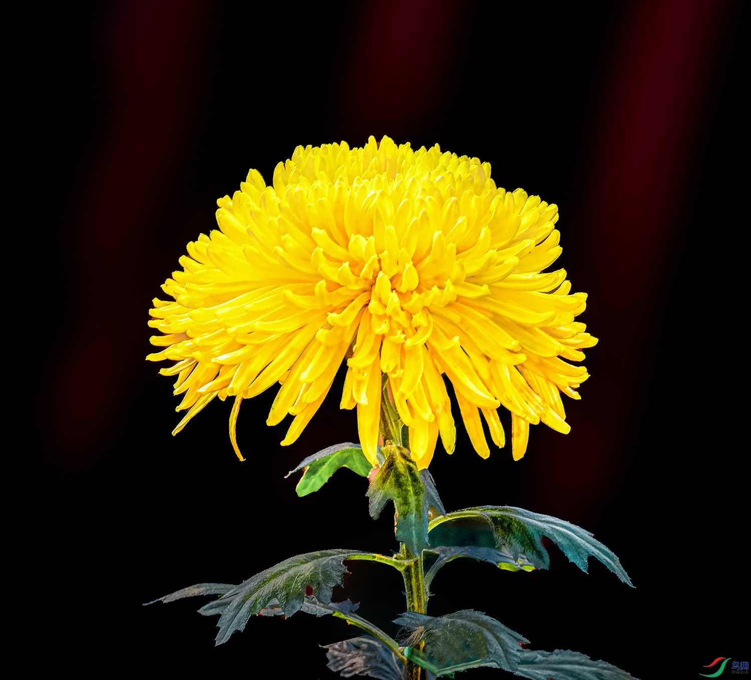 00092583aIMG_5828 �ƽ��1000k.jpg