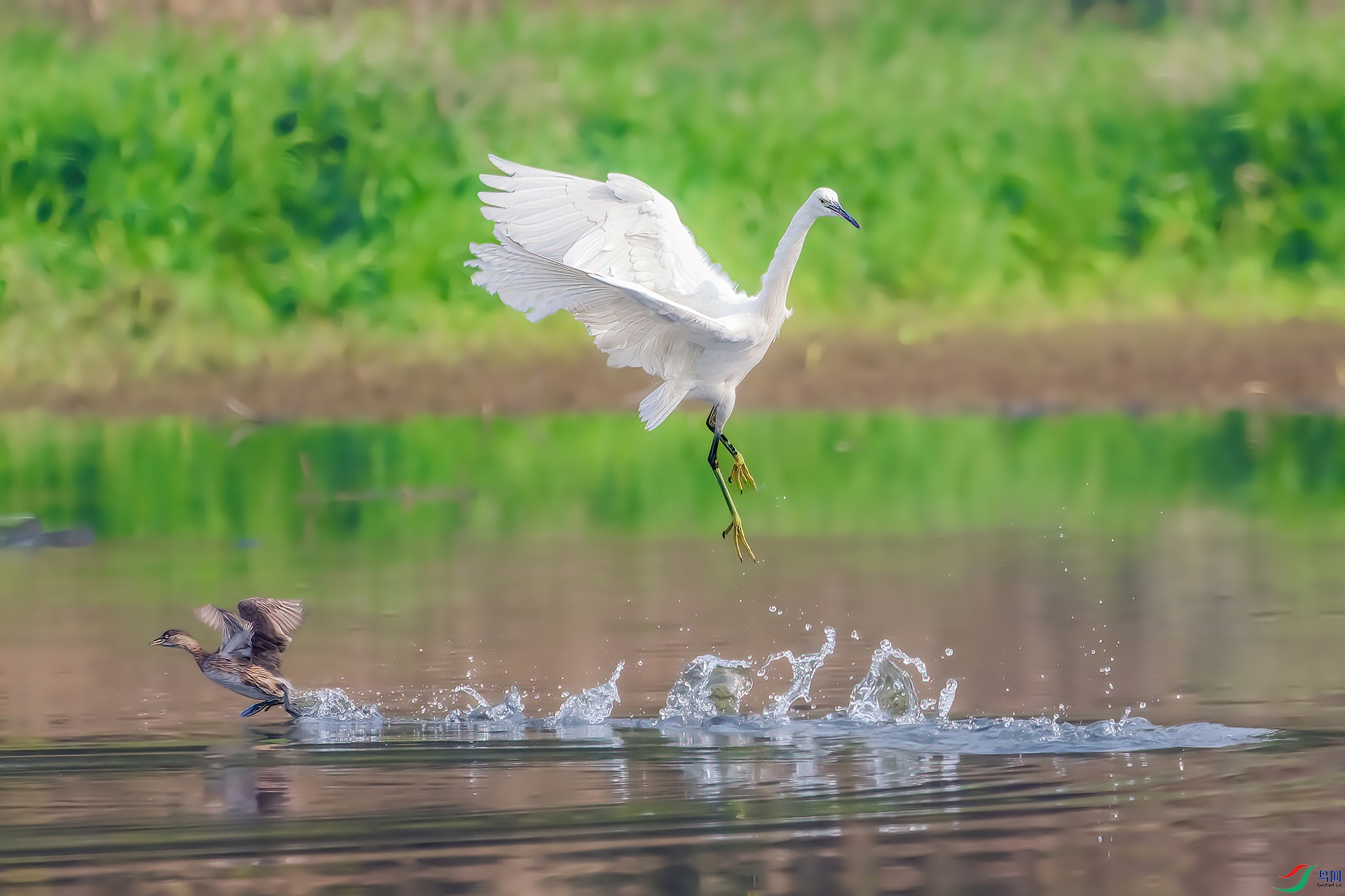 _MG_9283(1)-CR2.jpg