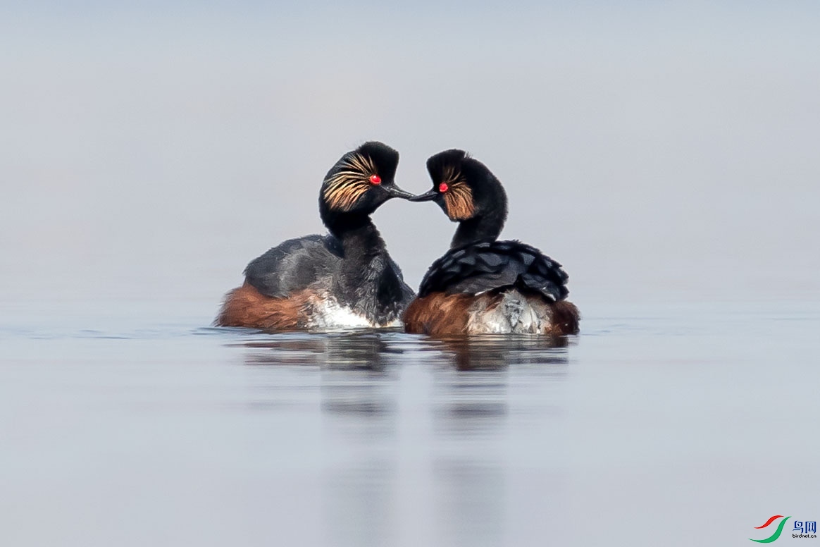 JHGS6444 ���� 2.jpg