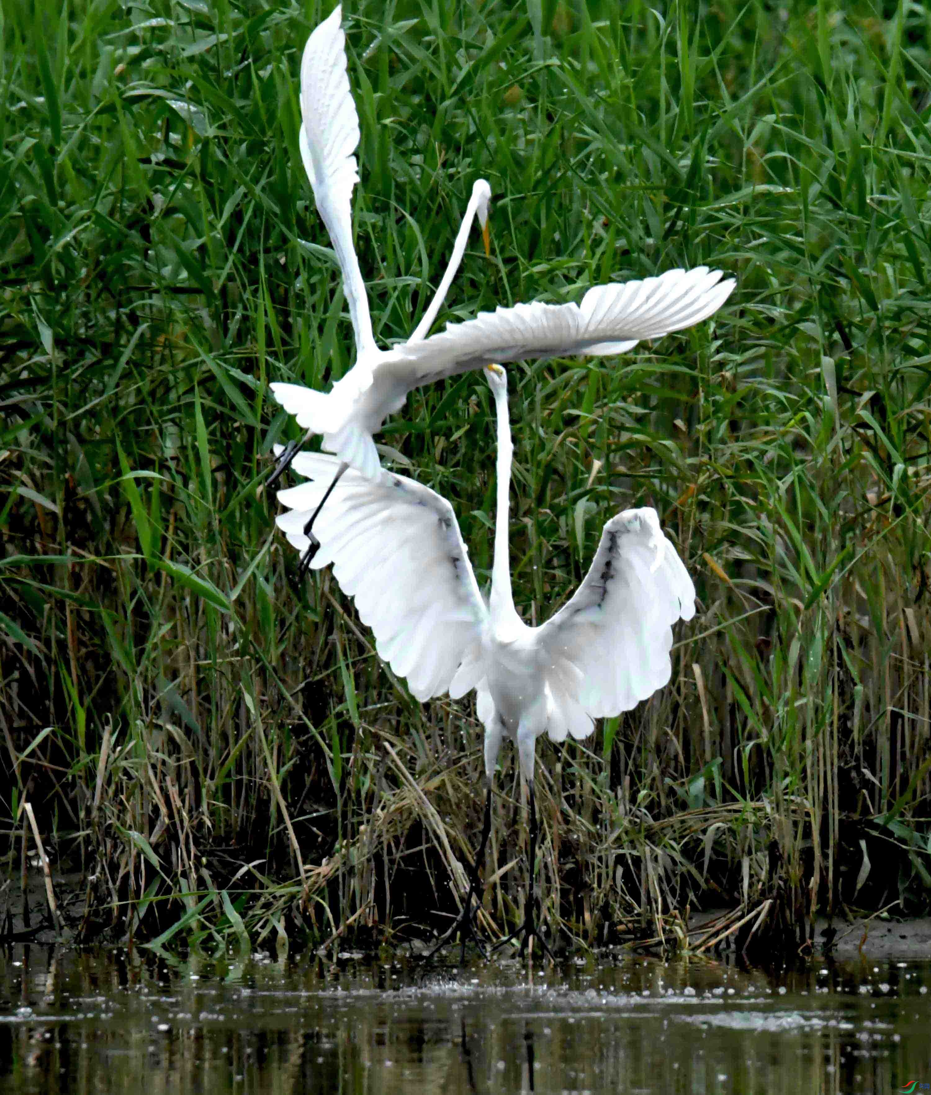 DSC_2541.JPG