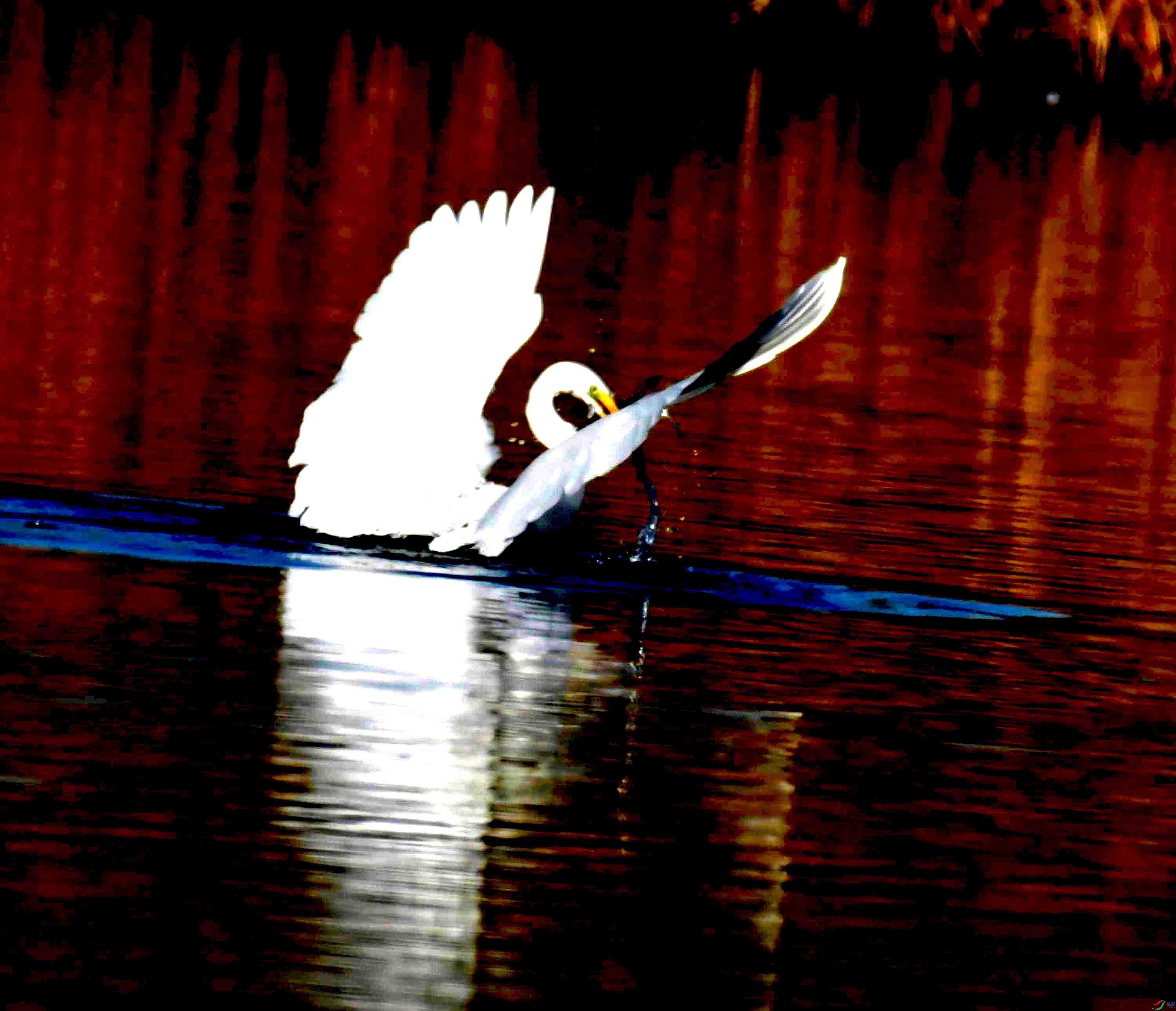 DSC_2576.JPG