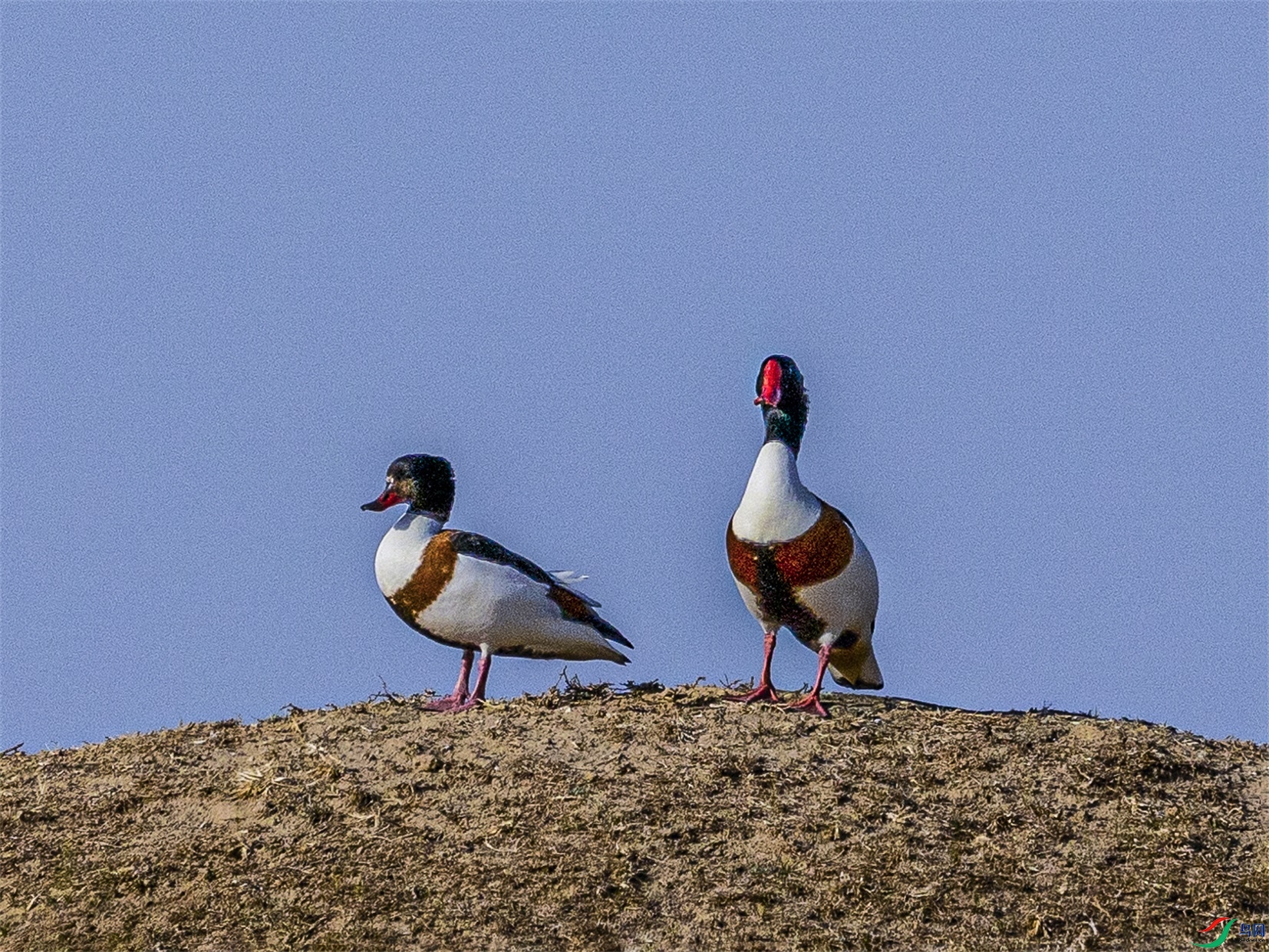 1K3A6908 ����1.jpg