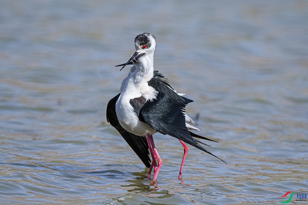 DSC_2422 - ����.jpg