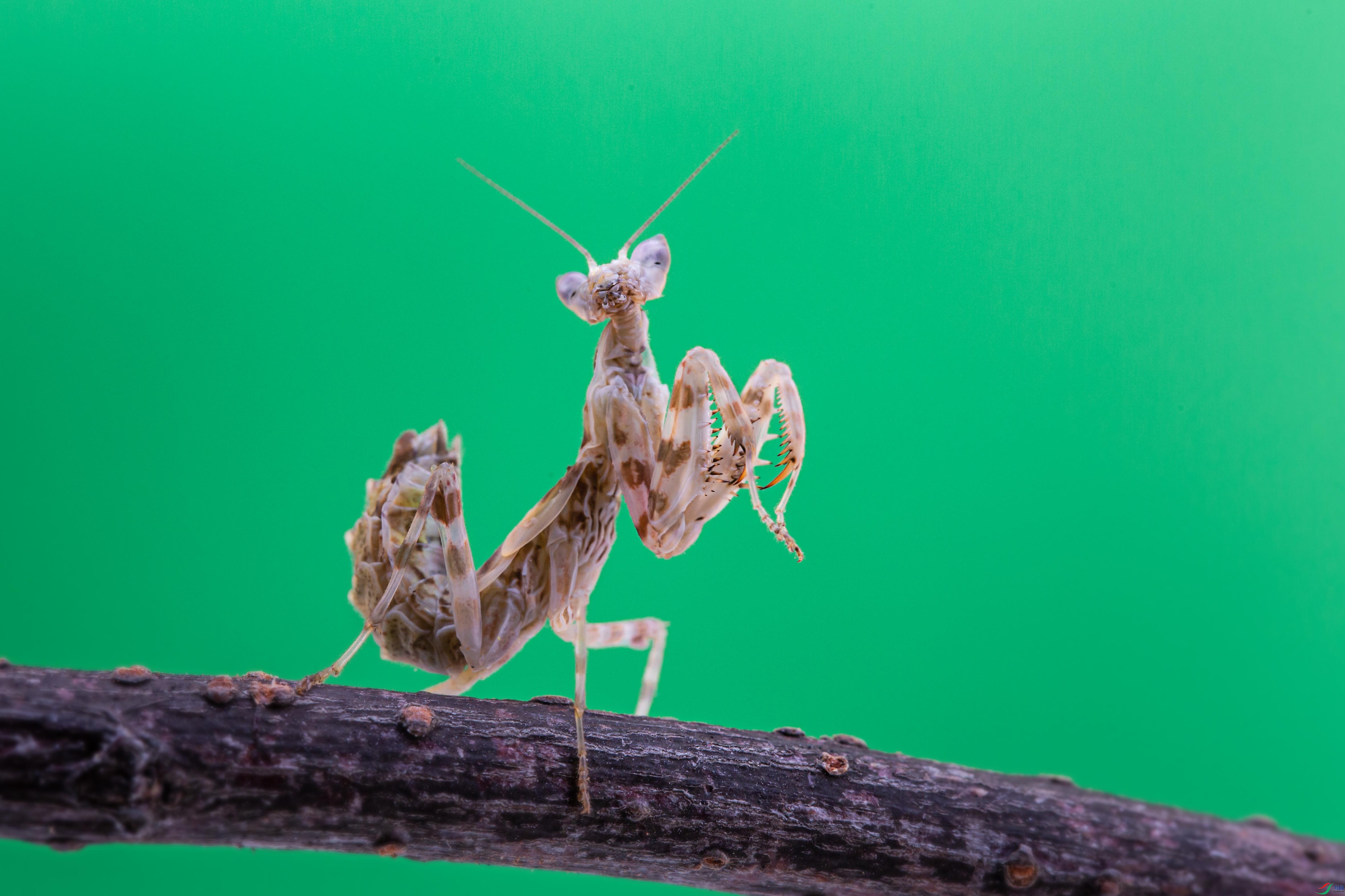 NK5A2754 ����.jpg