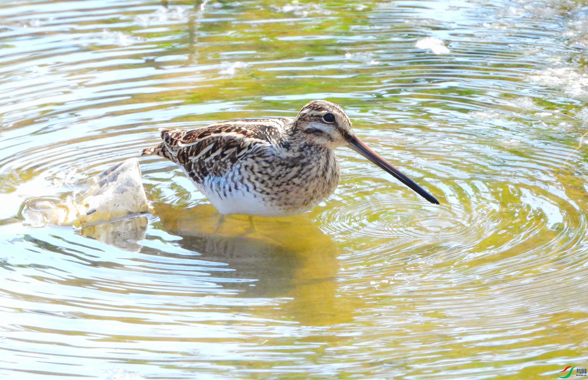 DSCN3675 ����.jpg