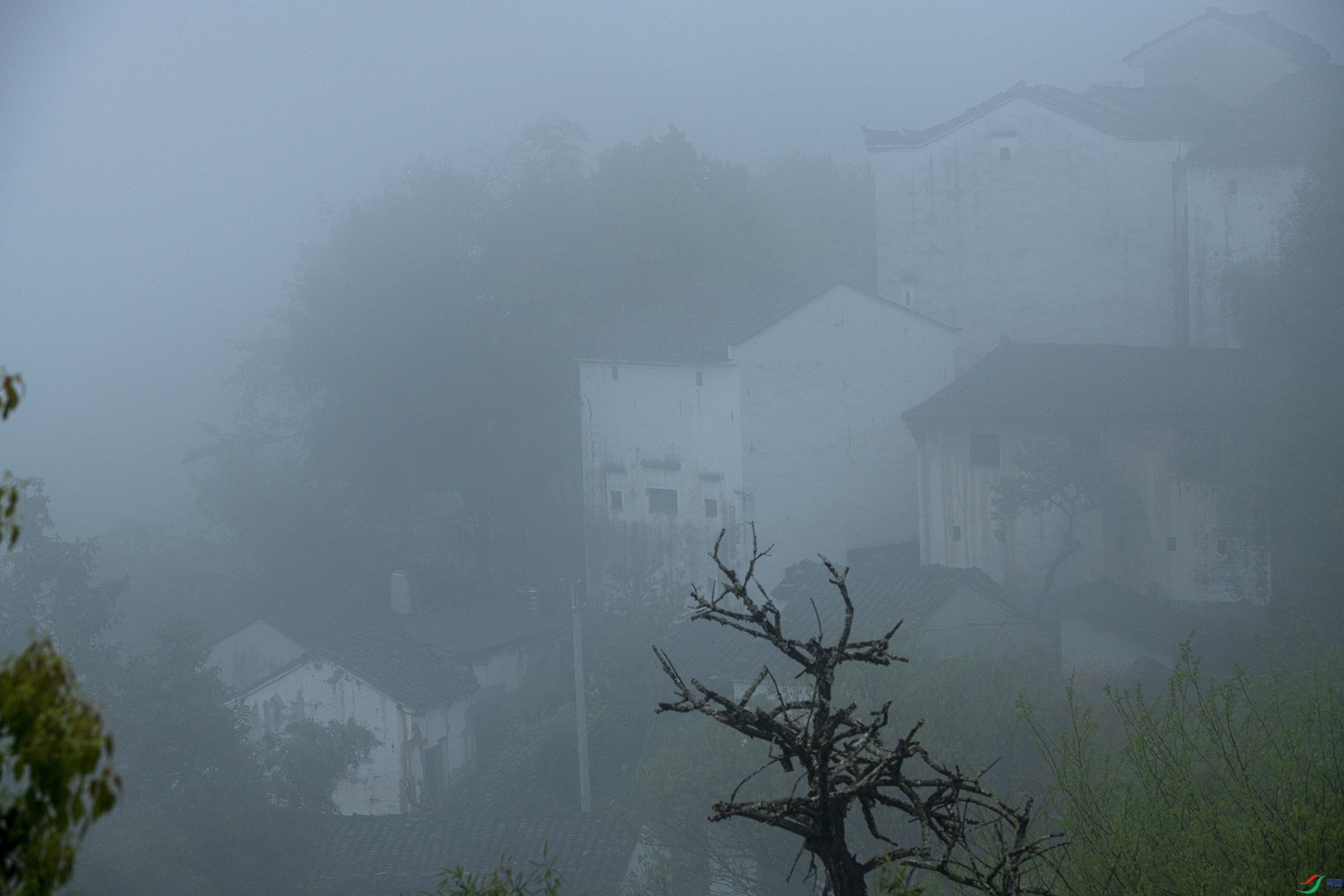 _DSC9879.jpgʯ̶��ɽ��23-04-29A.jpg