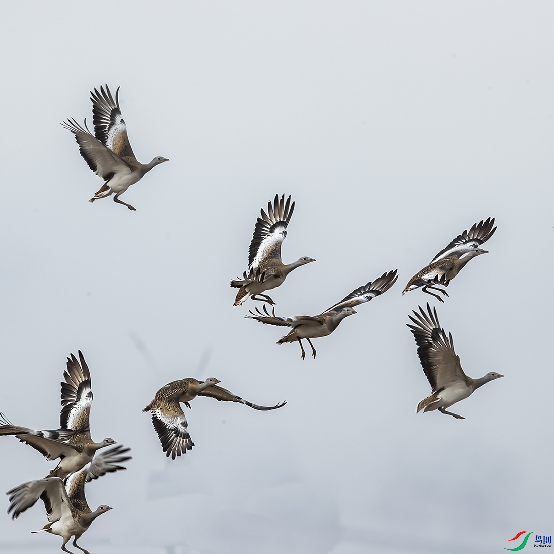 A46I2367 ����.psd2 ����.jpg22.jpg