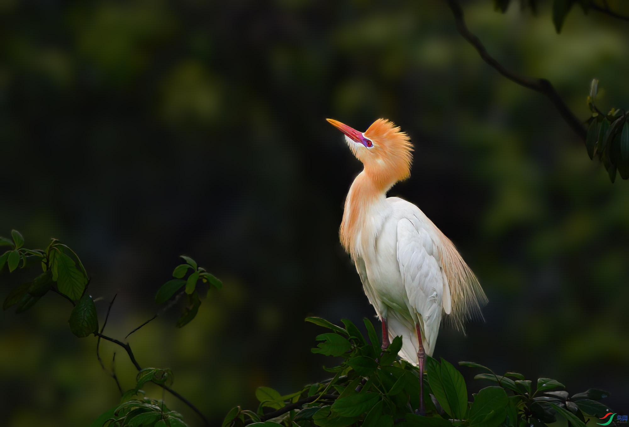 DSC_2417.jpg