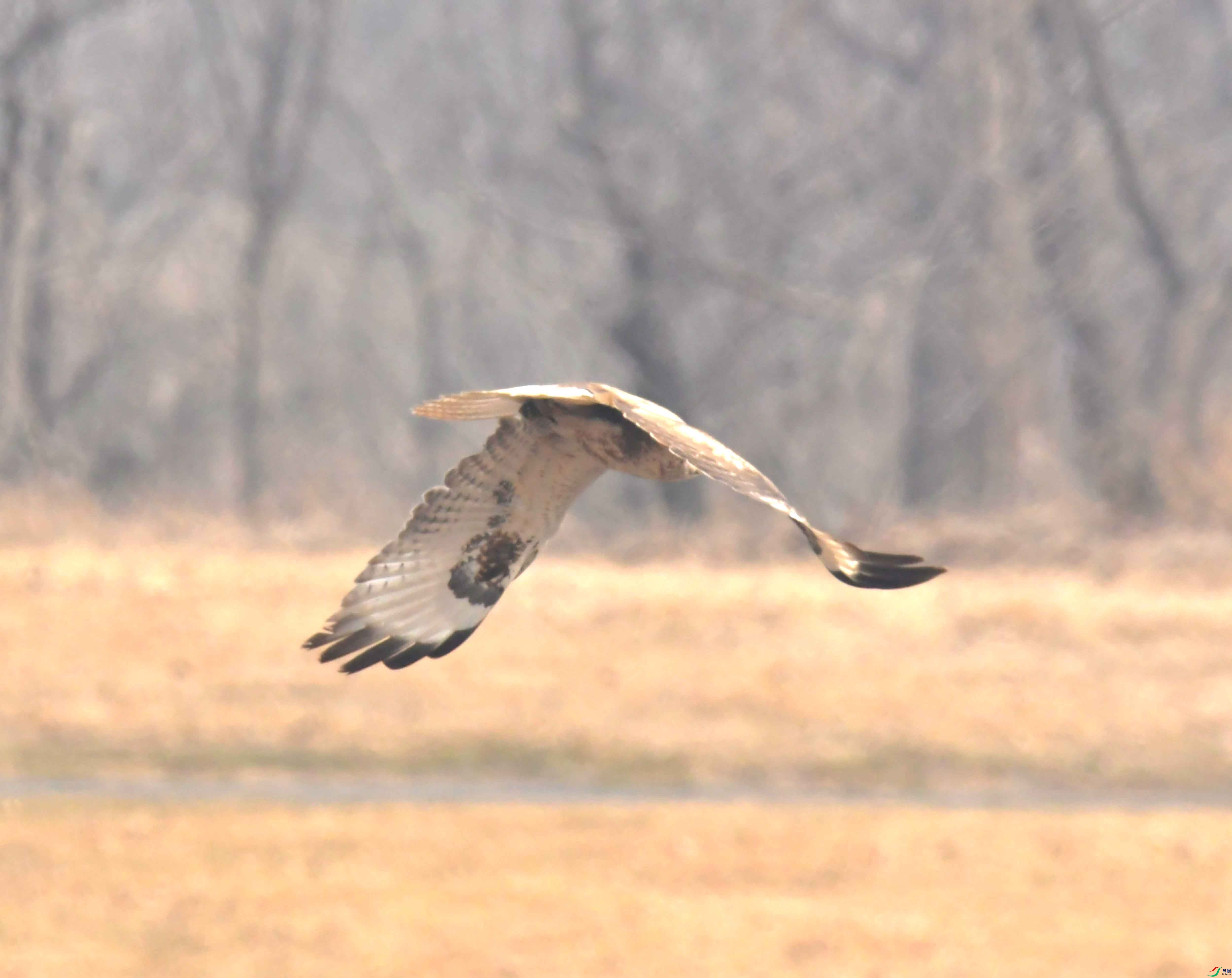 DSC_2063.JPG