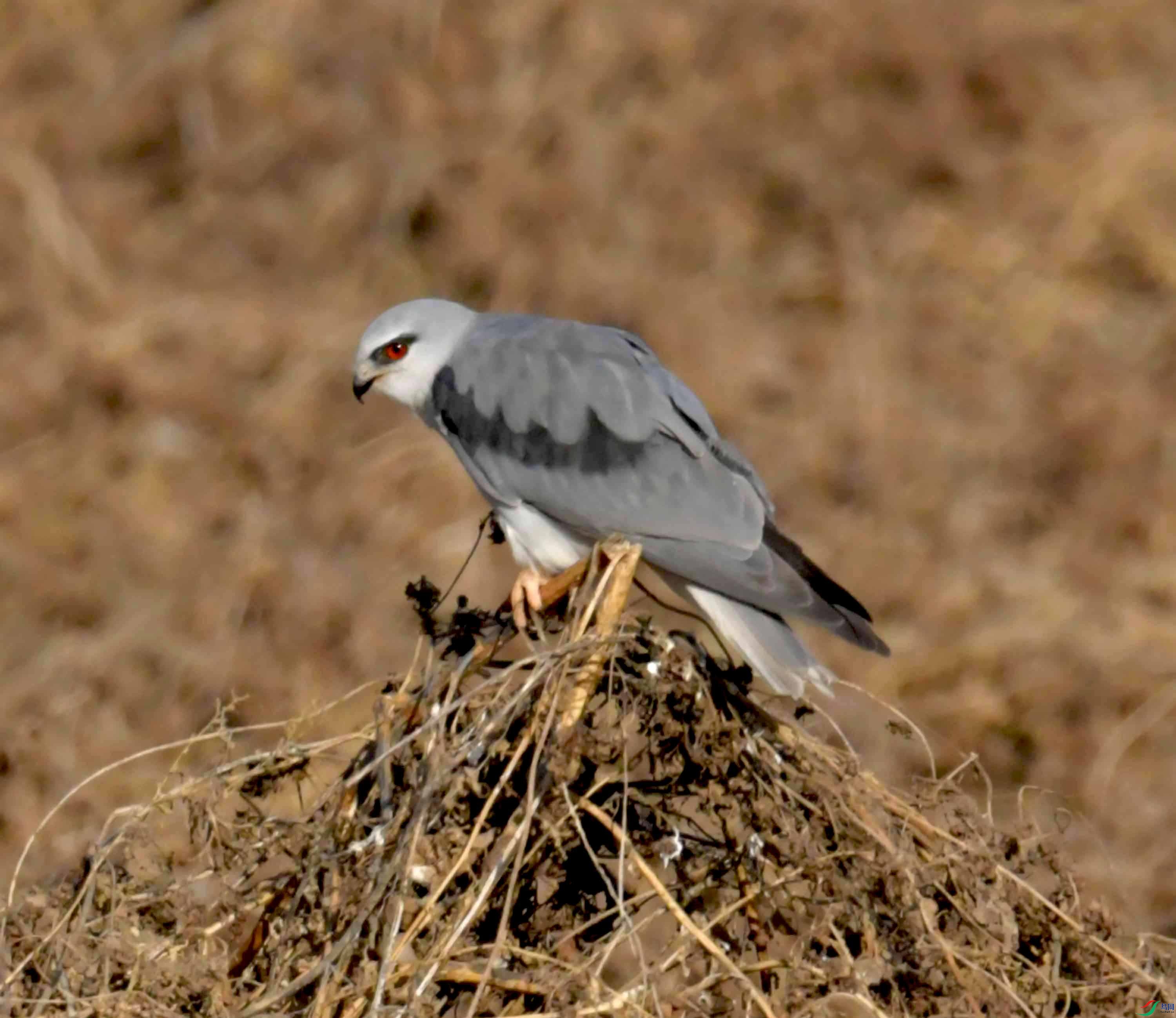 DSC_0395.JPG