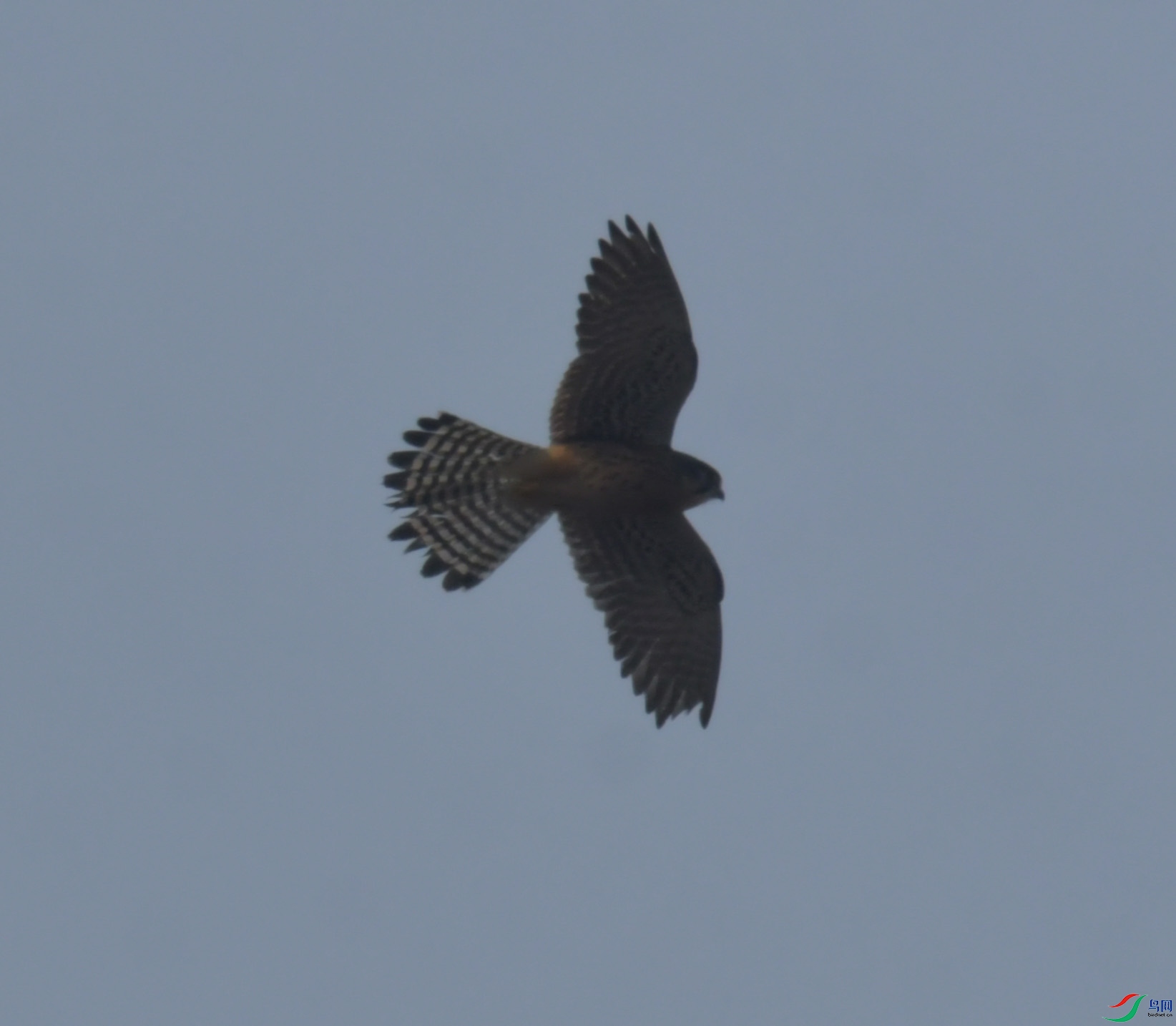 DSC_0814.JPG