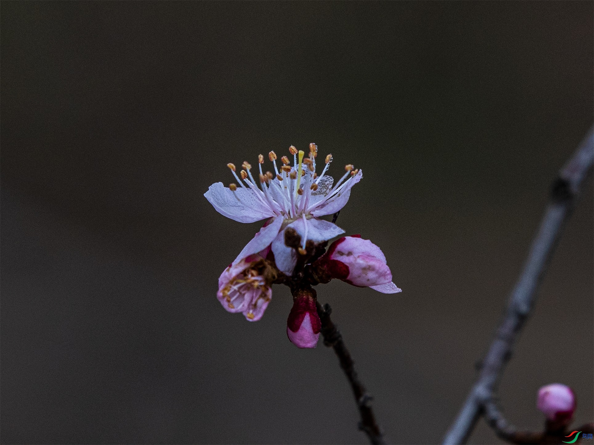 CY4A8383 ����1.jpg