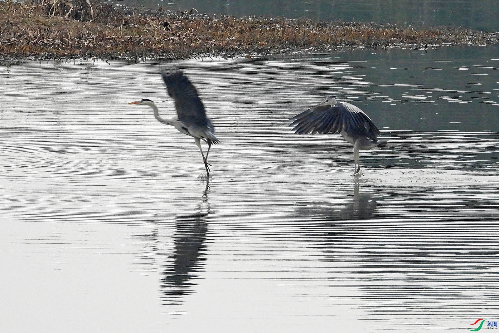 DSCN3868.jpg