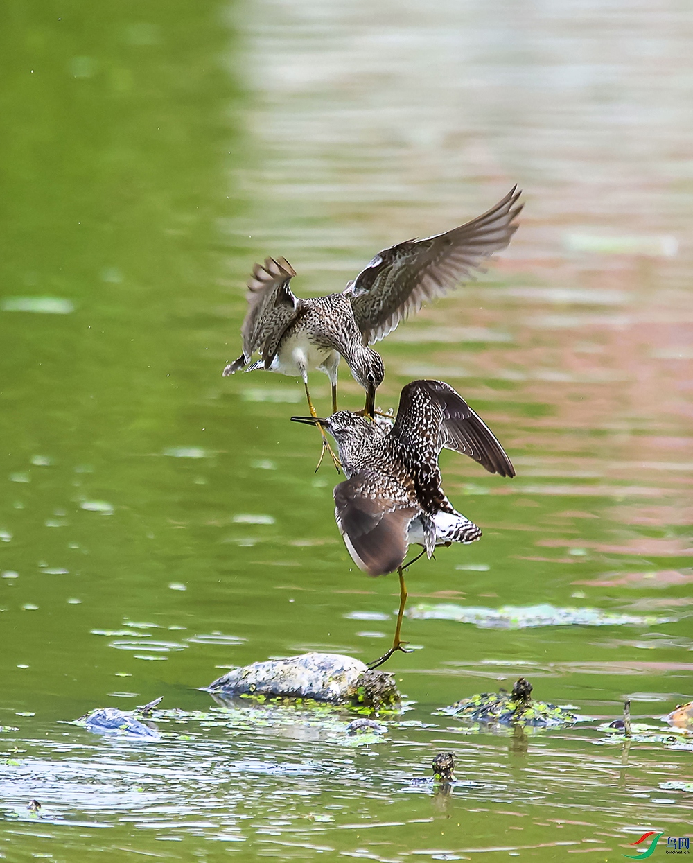 ��5_��ͼ�� ���� 3.jpg